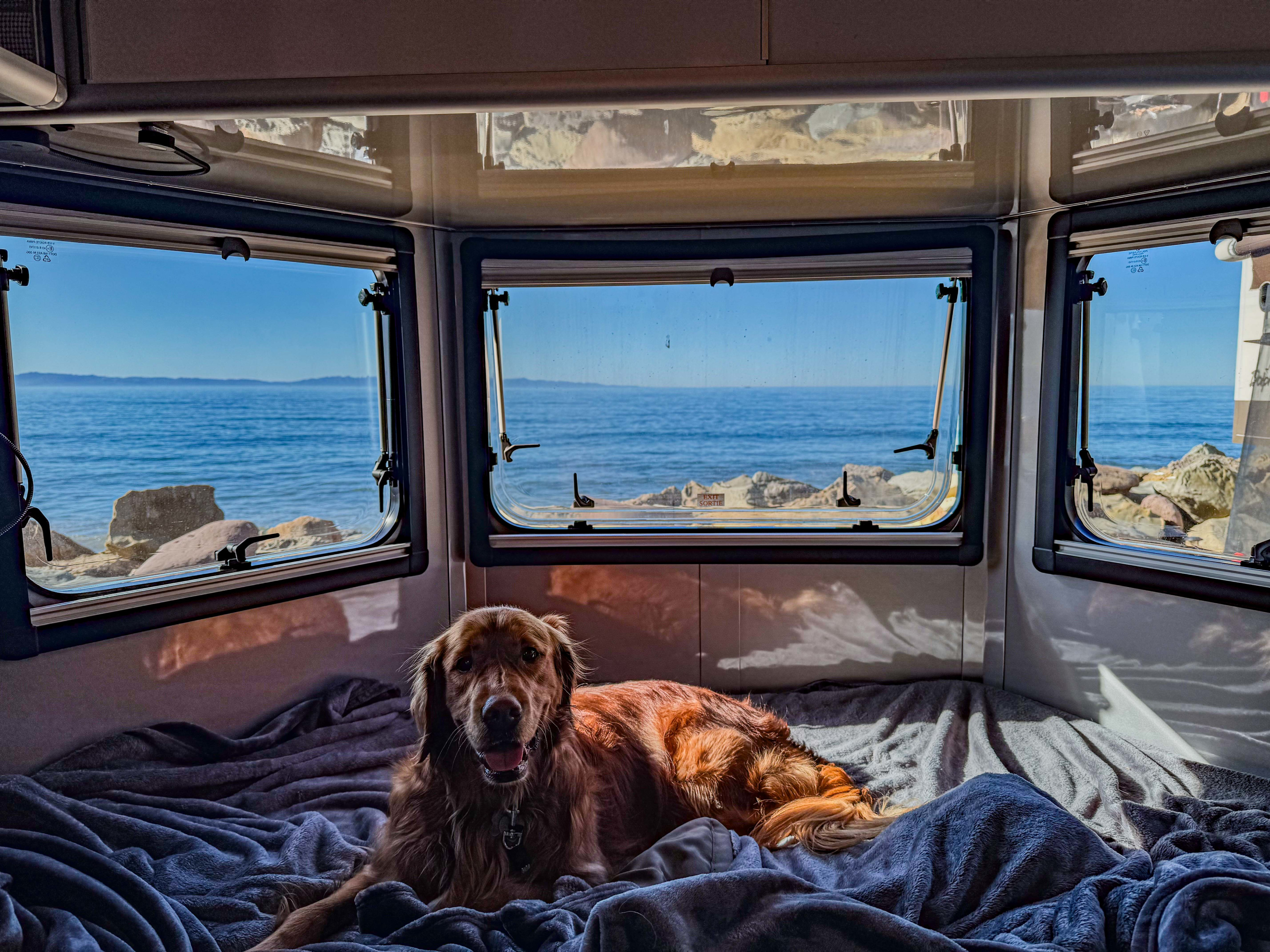 RV rental bliss: A golden retriever enjoys a cozy bed and panoramic ocean views through the large windows of its mobile home.. Safari Condo A2124 2025