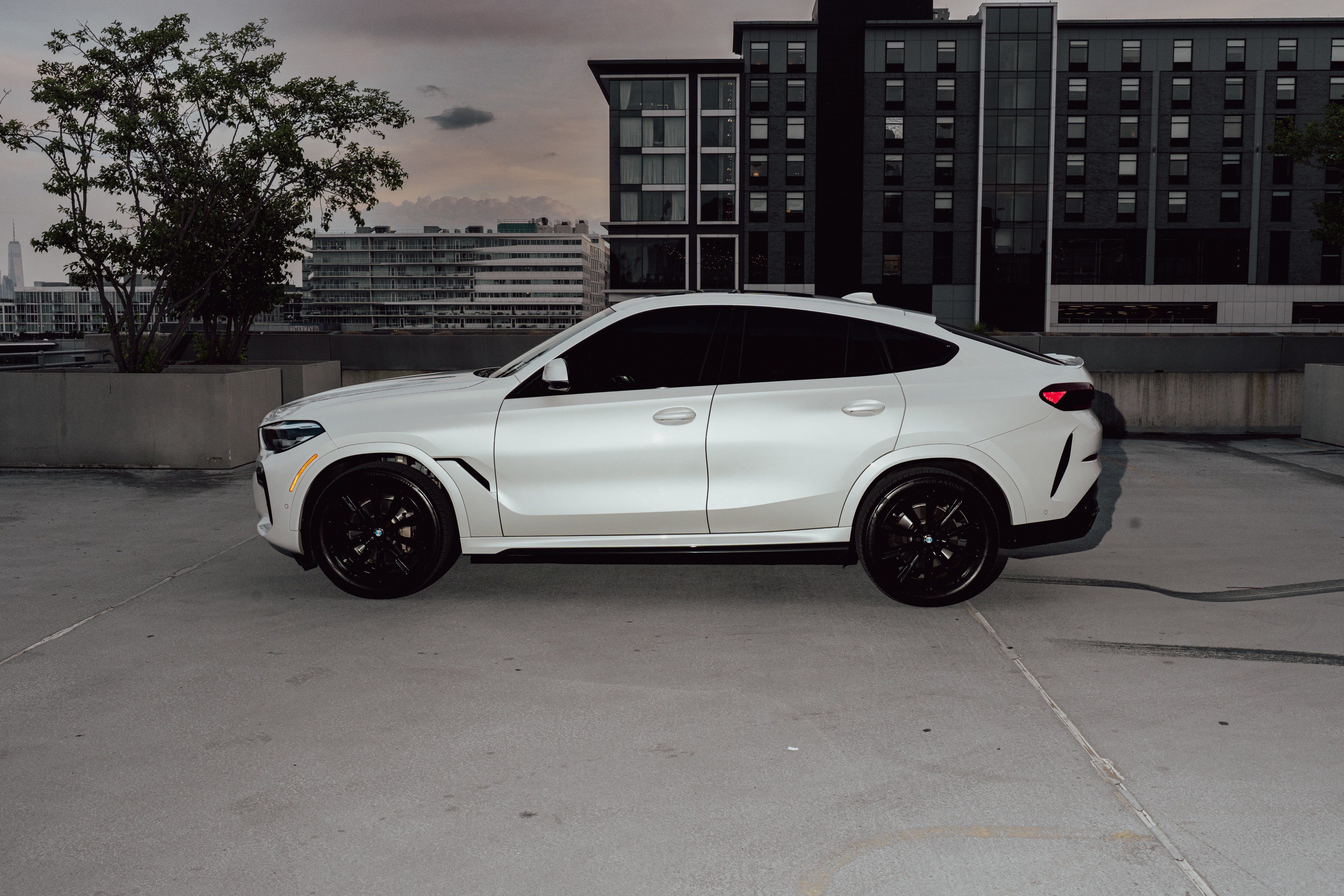 2023 BMW X6