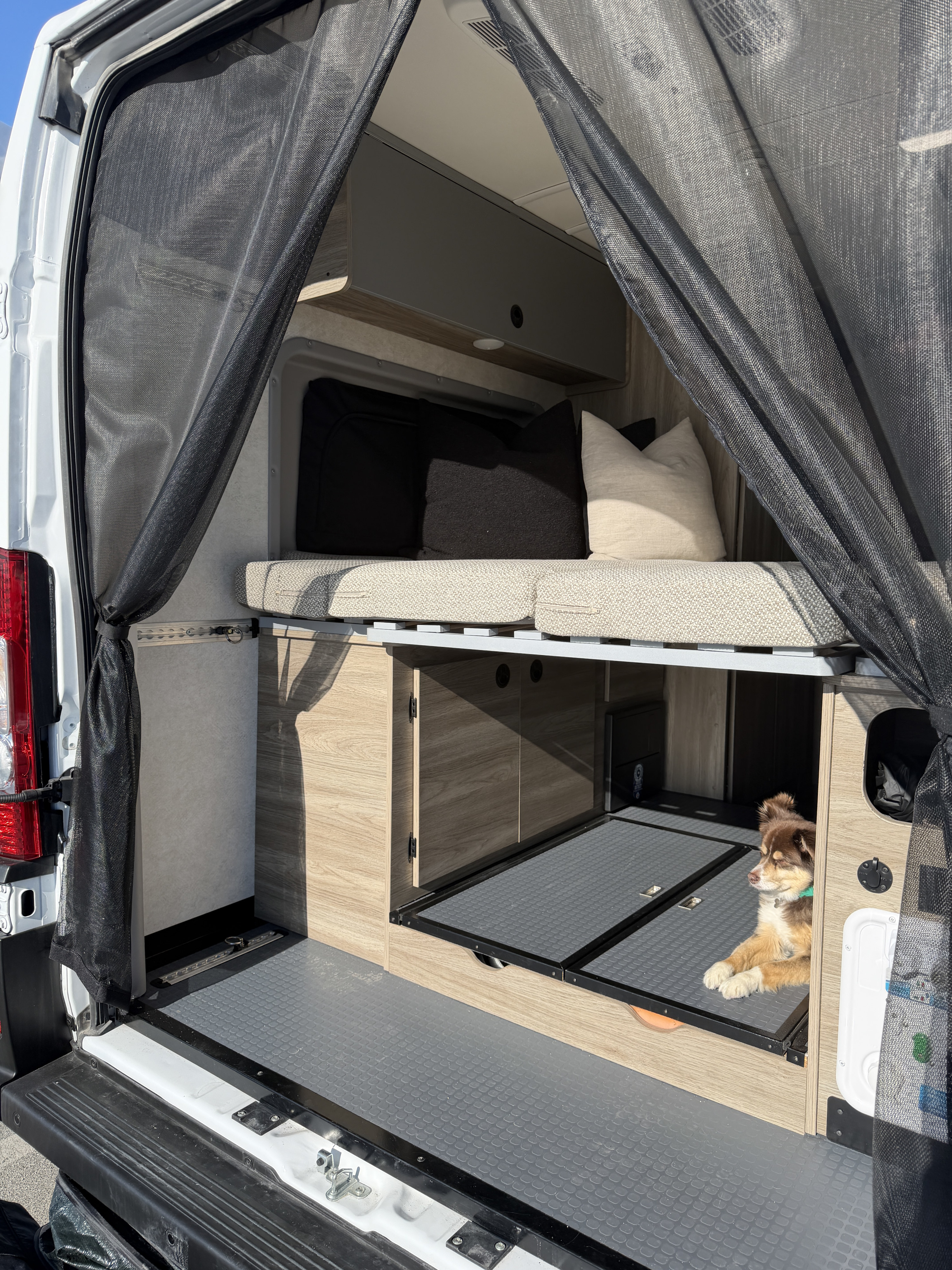 Camper van RV rental interior: mesh door, raised bed with storage below, and a dog in its cozy lower compartment.. Winnebago Solis 2025