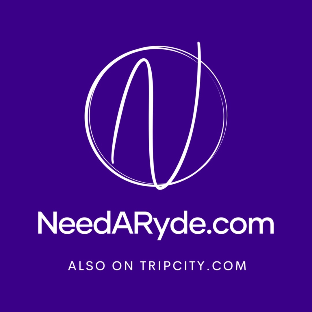 needaryde.com