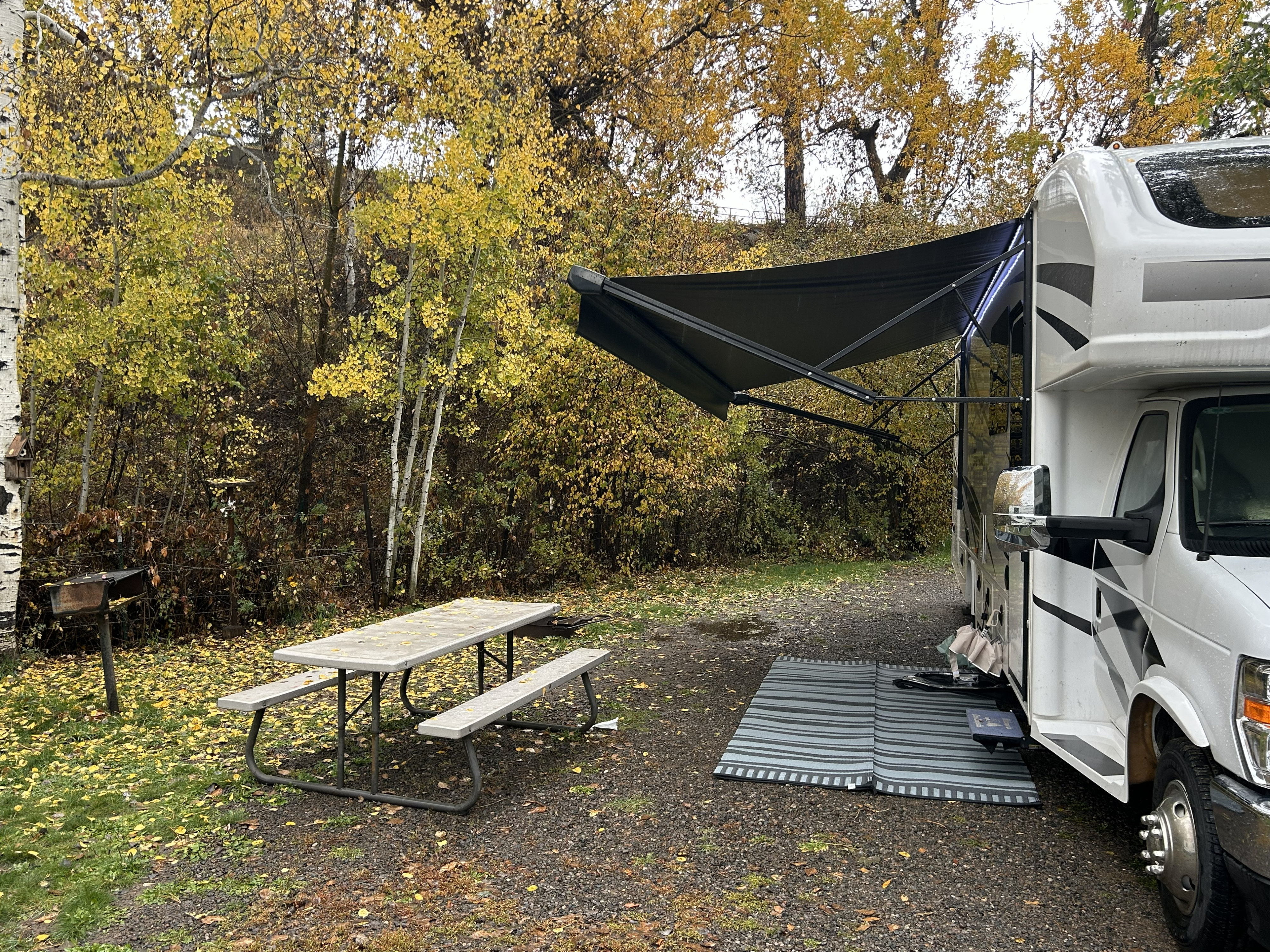 Steggy the 2024 Greyhawk Bunkhouse