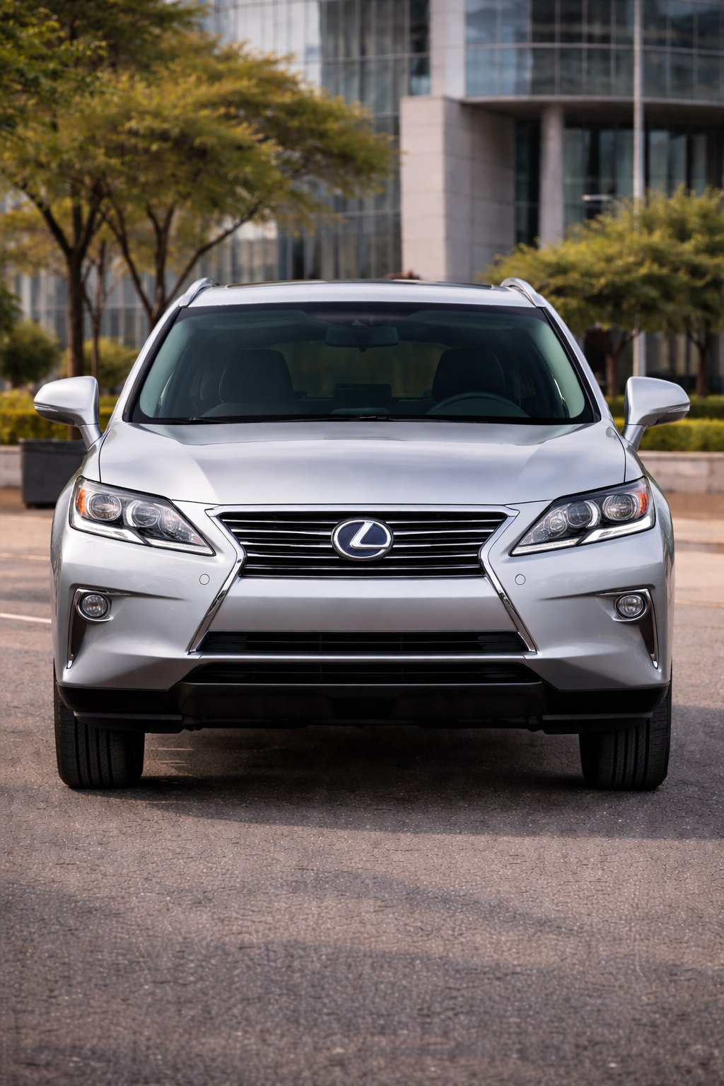 2013 Lexus RX