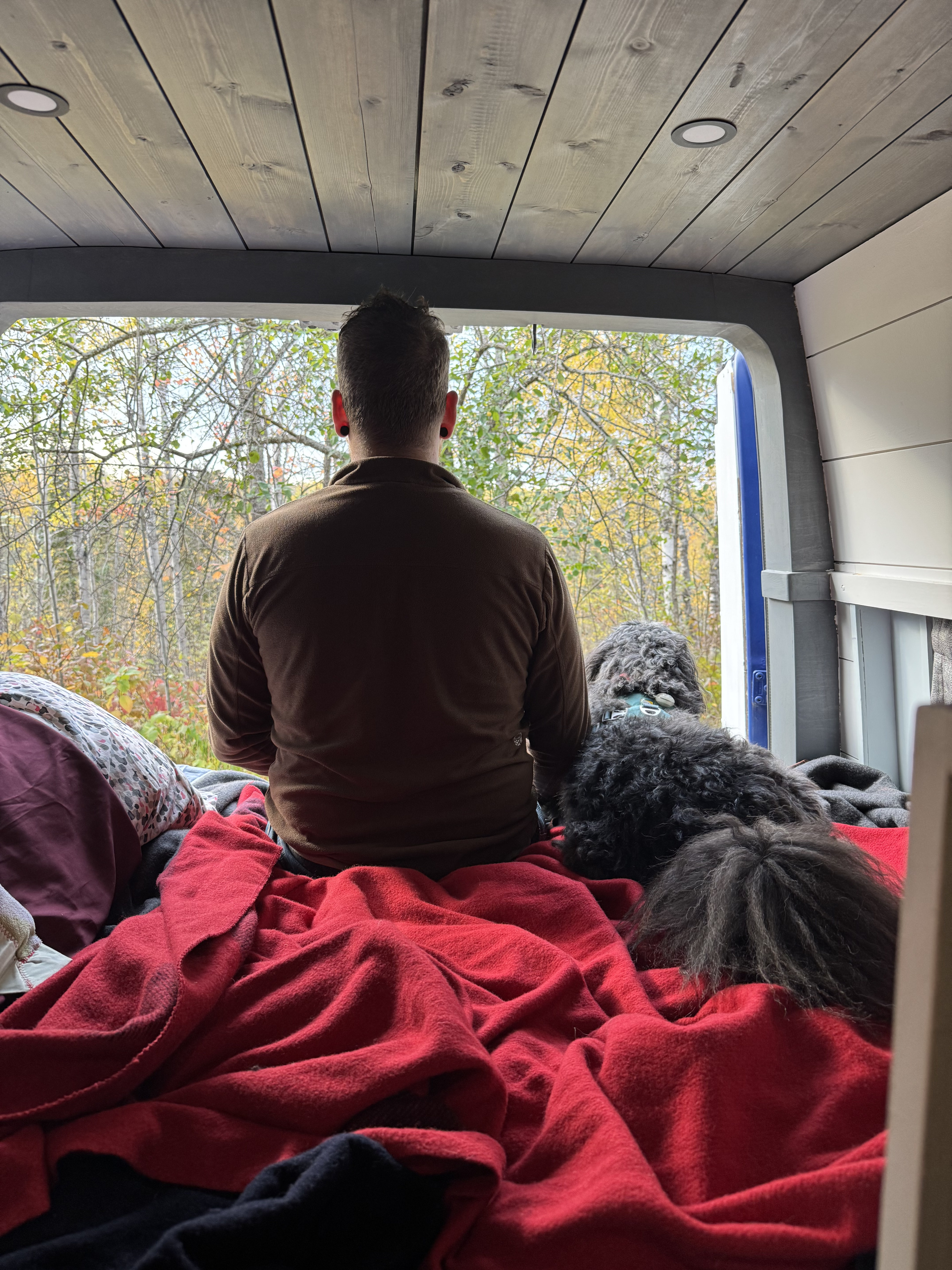Cozy RV rental view: Person and dog relax in a campervan, gazing at the vibrant autumn forest from inside.. Mercedes Sprinter Motorhome Campervan RV 2012