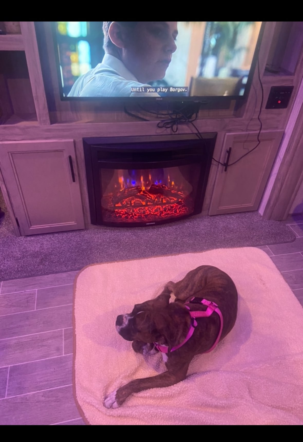 Luxury Arctic Wolf 3880 suite