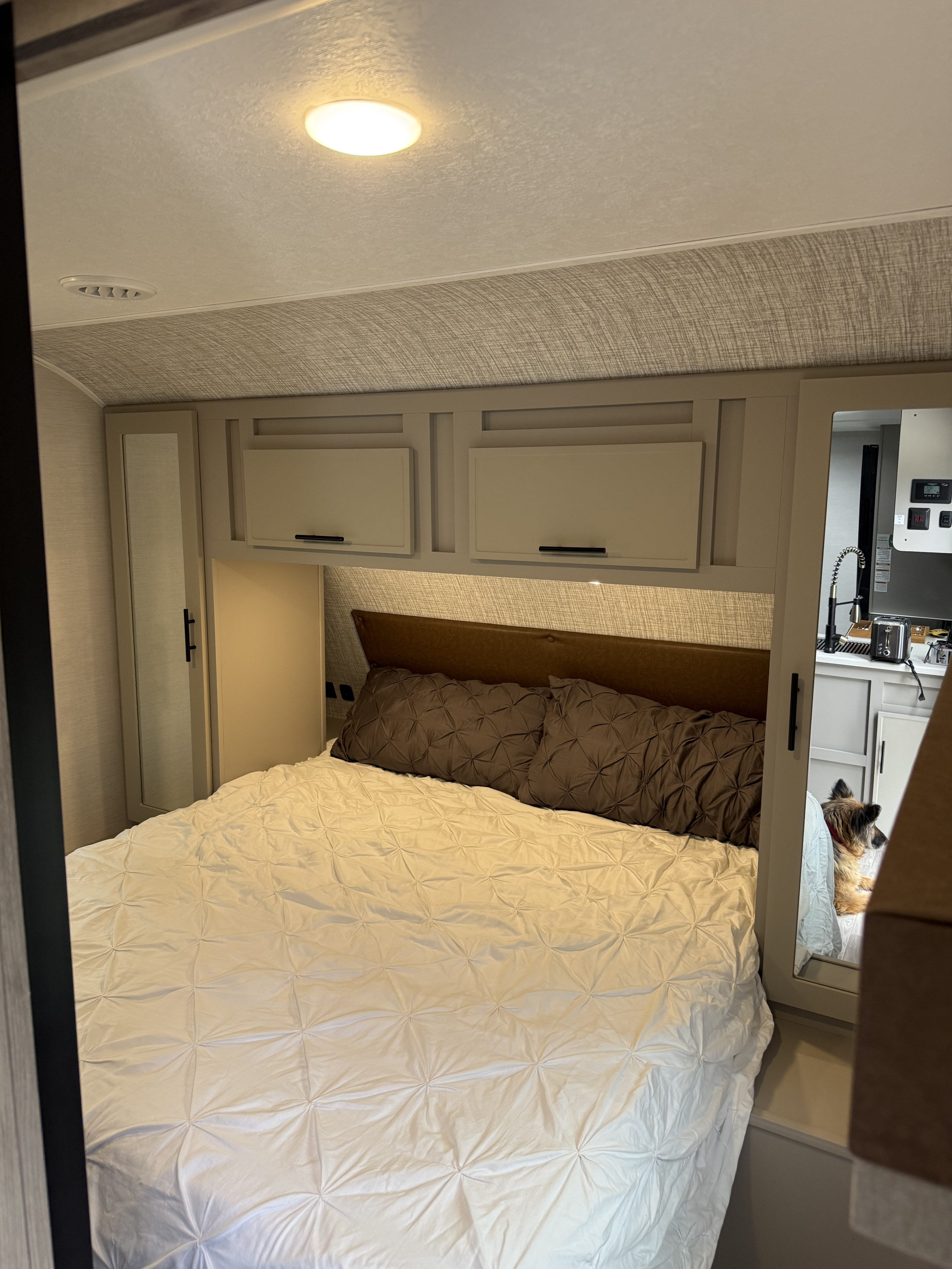 Cozy RV rental bedroom with a well-lit bed, overhead storage, and a dog visible in the reflection. Ideal for travel.. Forest River Vibe 2025