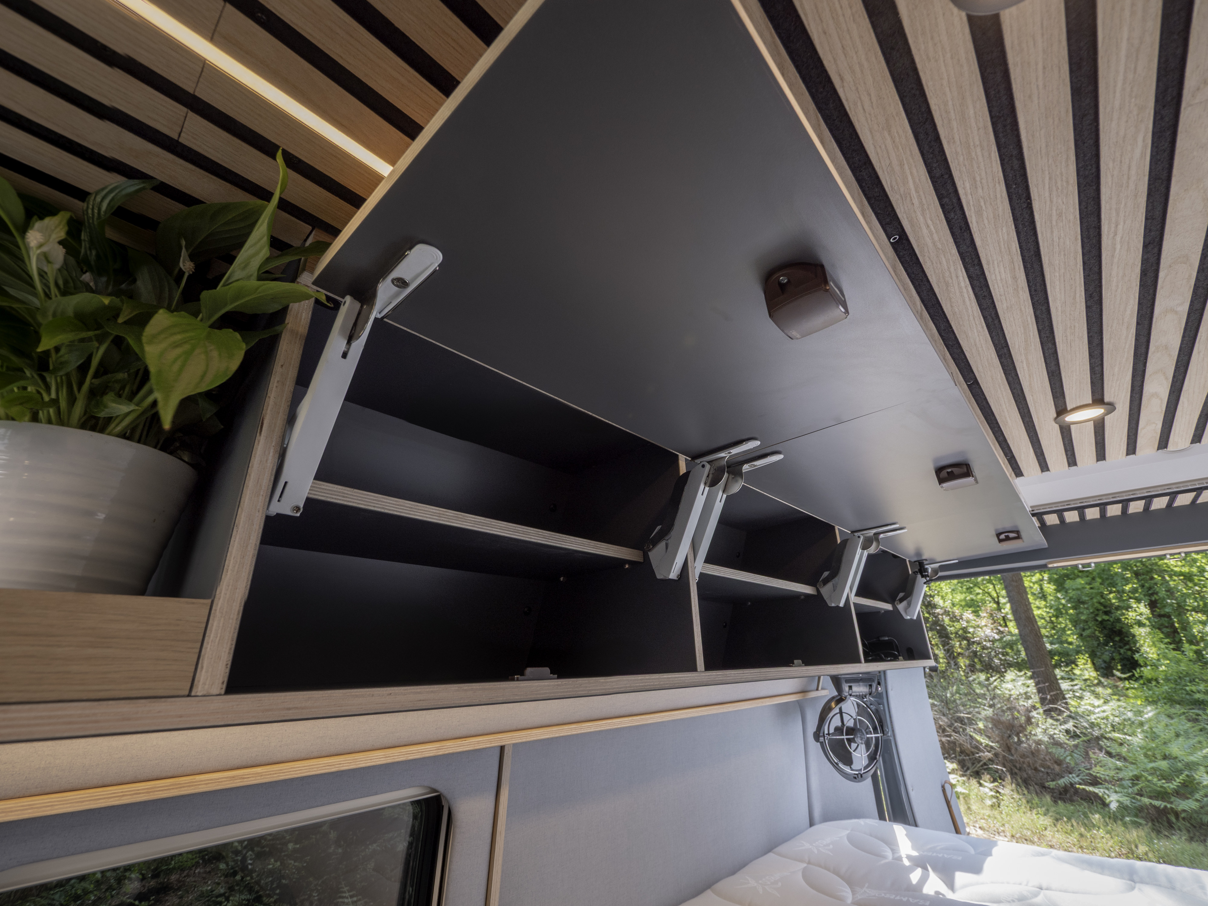 Modern RV rental interior with open overhead storage, a green plant, and a clear view of nature outside.. Fiat Ducato 2025