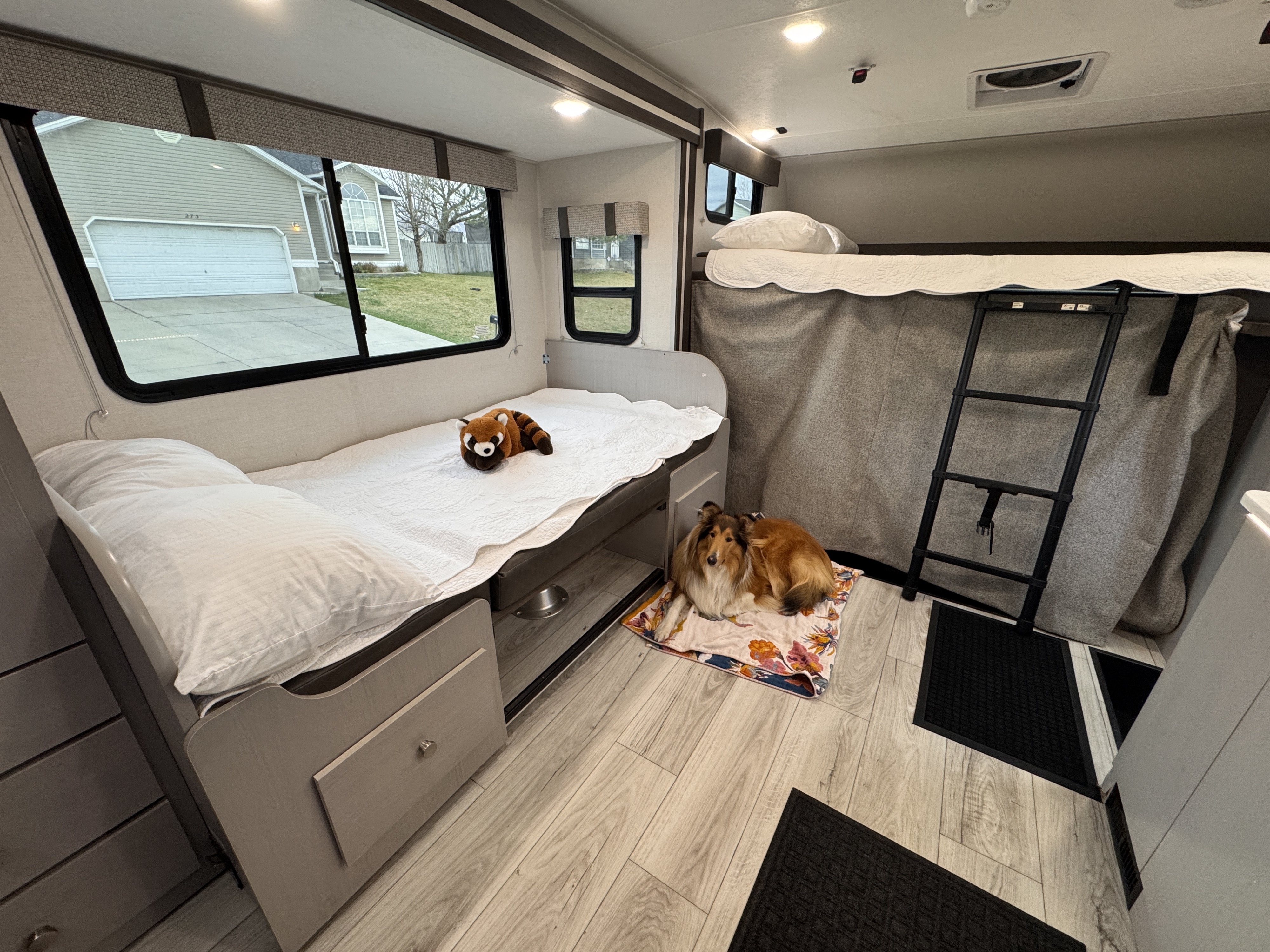 Inside a pet-friendly RV rental, featuring bunk beds, a sleeping dog, and a stuffed red panda.. Forest River Coachmen Freelander 2026