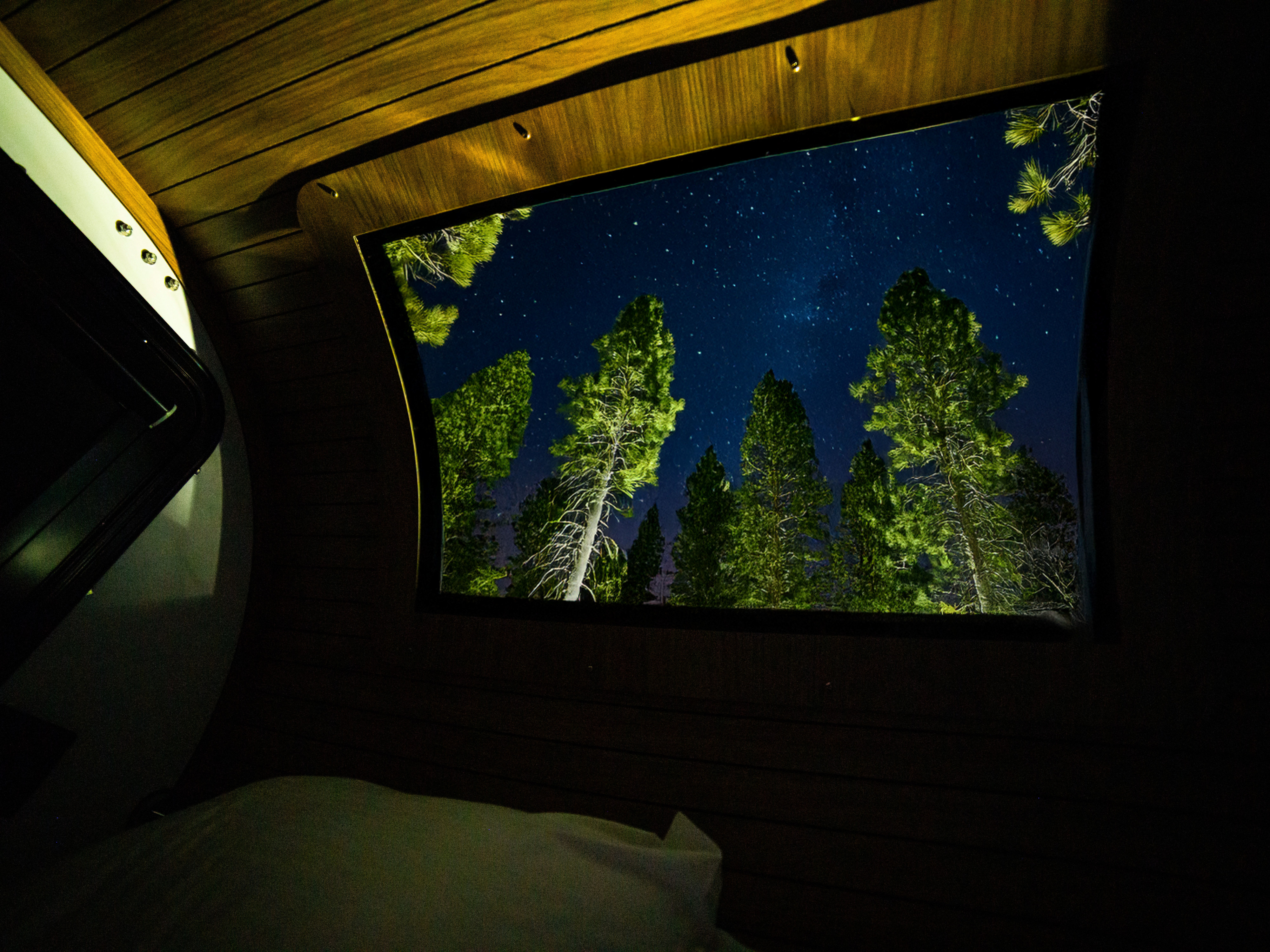 A cozy rv rental interior with wooden panels, looking out to illuminated pine trees under a beautiful, starry night sky.. Cedar Ridge Vega 2.0 Teardrop 2024