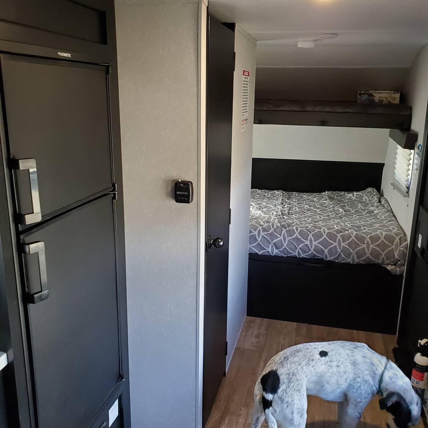 Inside this RV rental: a Dometic fridge, comfy bedroom with bunk beds, and a spotted dog on the wood floor.. Forest River Cherokee Wolf Pup 2020