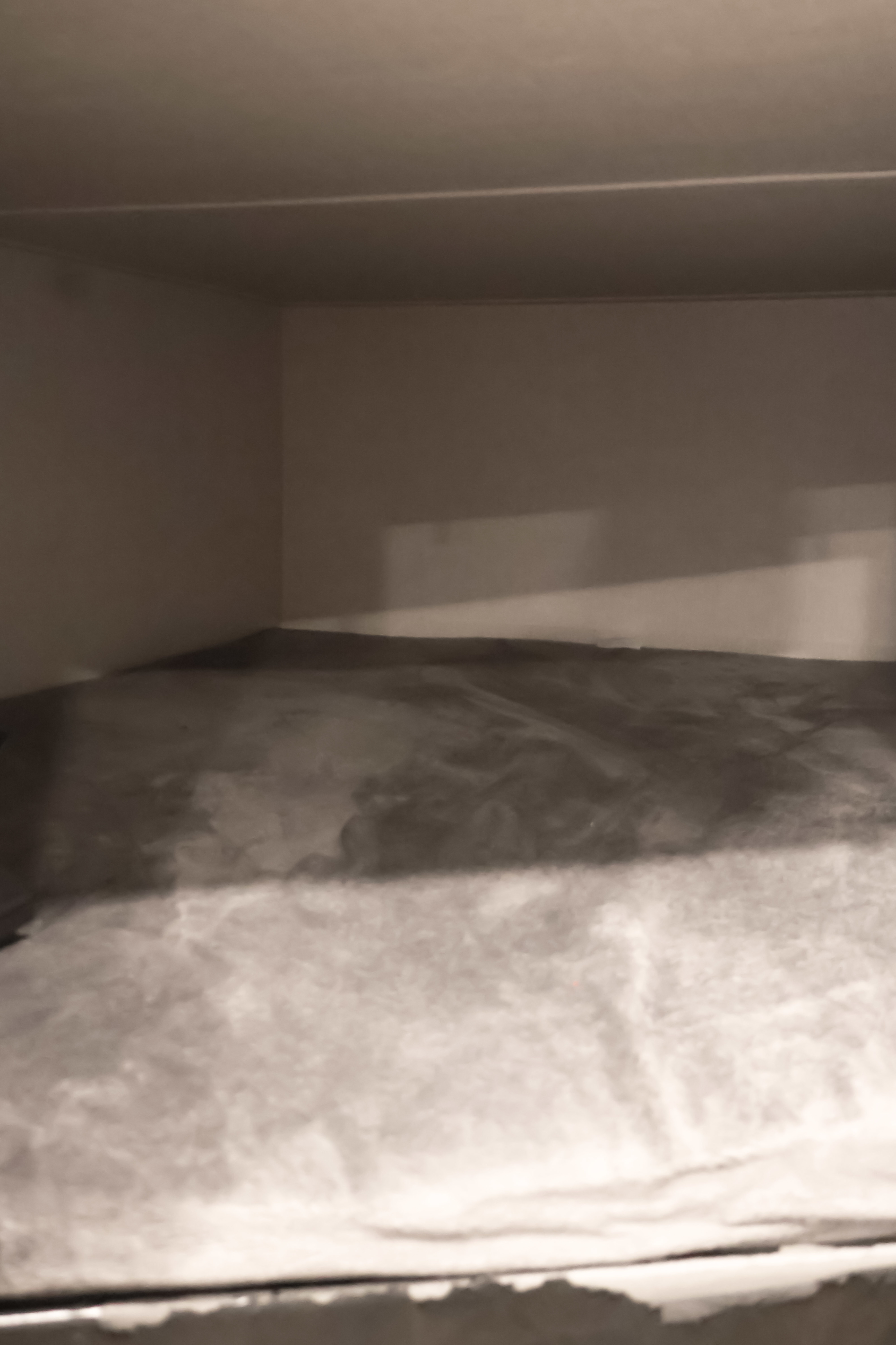 Inside an RV rental's cozy sleeping area, featuring plain walls and bedding. Ideal for comfortable rest on your travels.. Forest River Tracer LE 2021