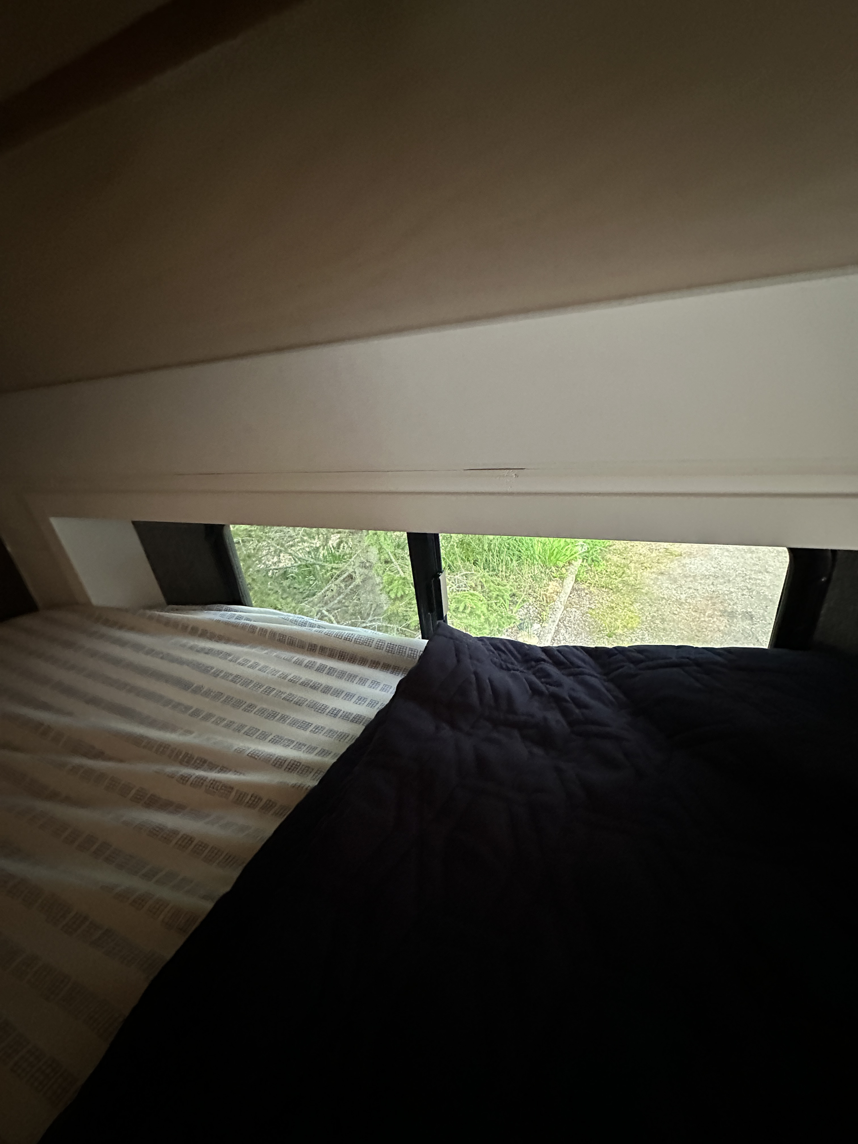 RV rental interior: Cozy bunk bed with striped sheets, dark quilt, and a window view to green nature outside.. Ford Transit 2020