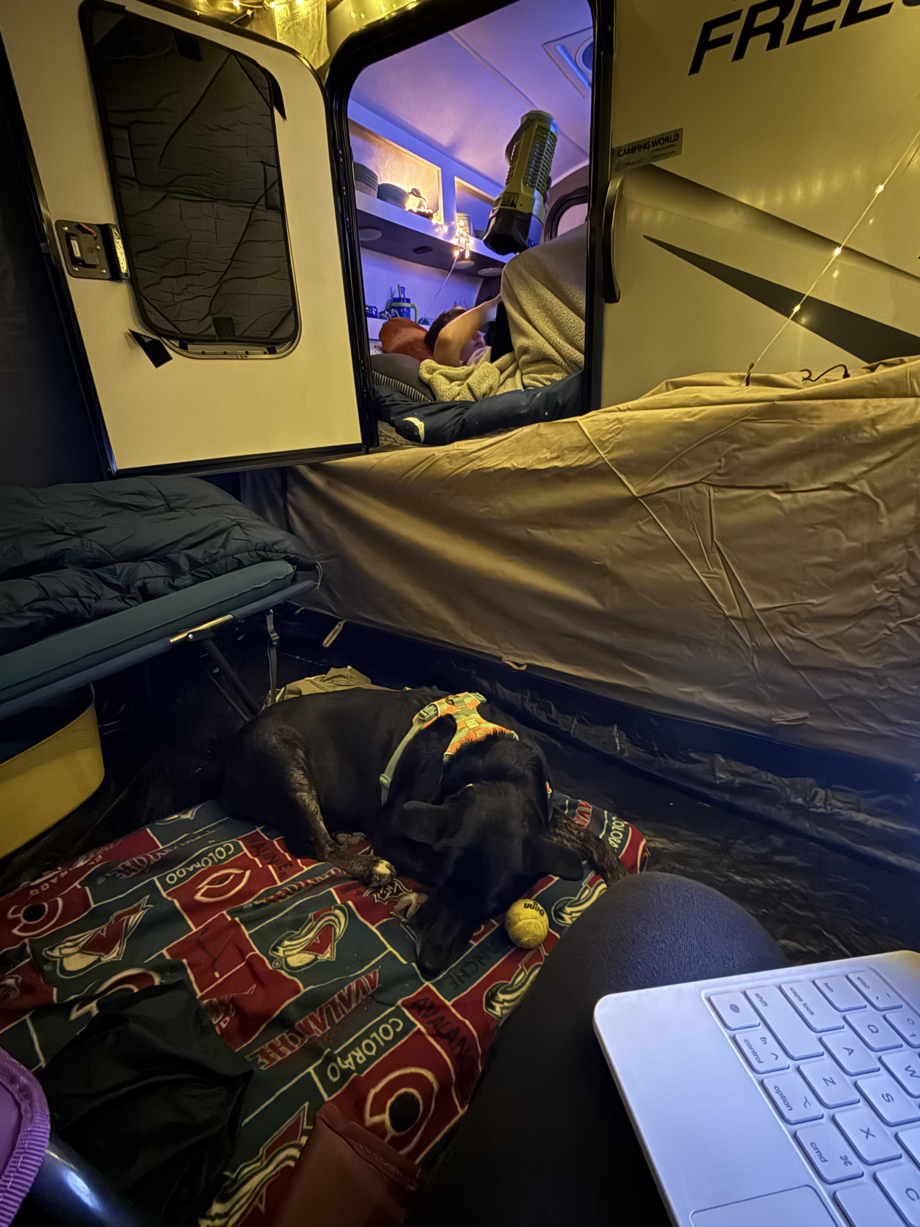 Cozy evening inside an RV rental: a black dog sleeps on an Avalanche blanket, while a person relaxes with a laptop. Perfect camping night.. Braxton Creek Free Solo 2021