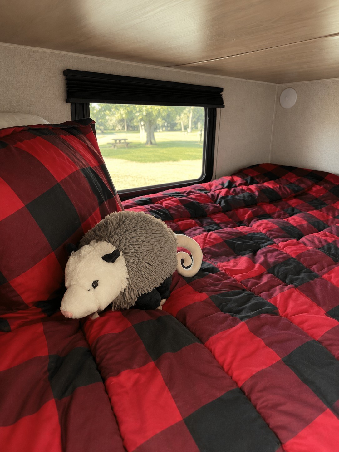 Cozy RV rental bed with a plush opossum toy on red and black buffalo plaid bedding, offering a window view of a park with trees.. Coleman Coleman Light LX Series 2125BH 2018