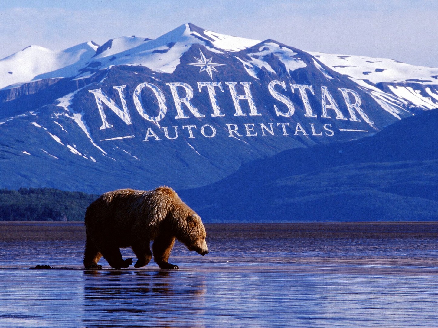 Owner Banner