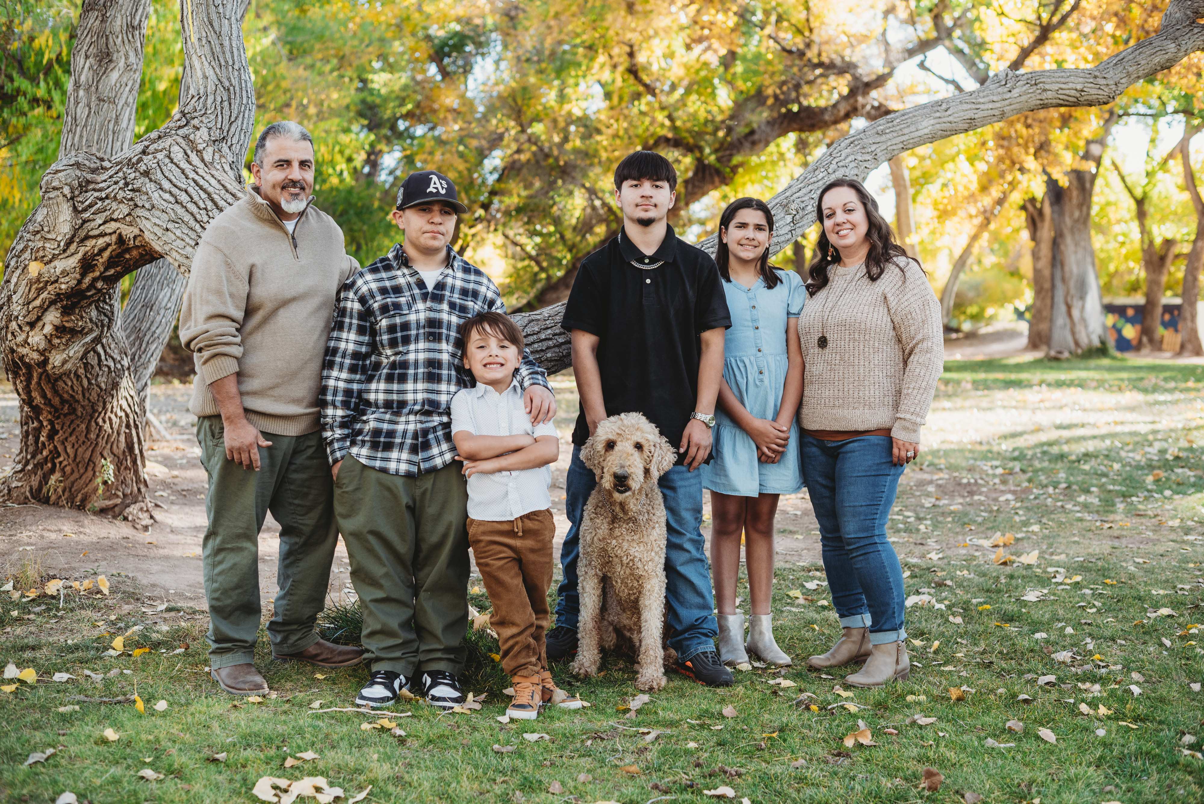 Owner Banner