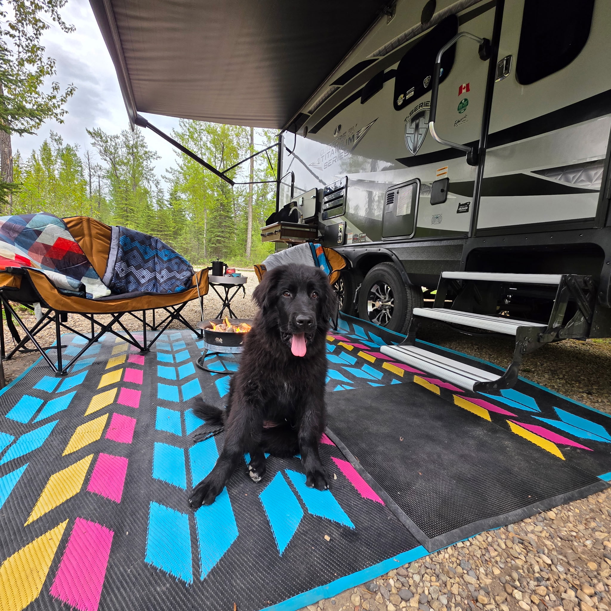 Owner Banner