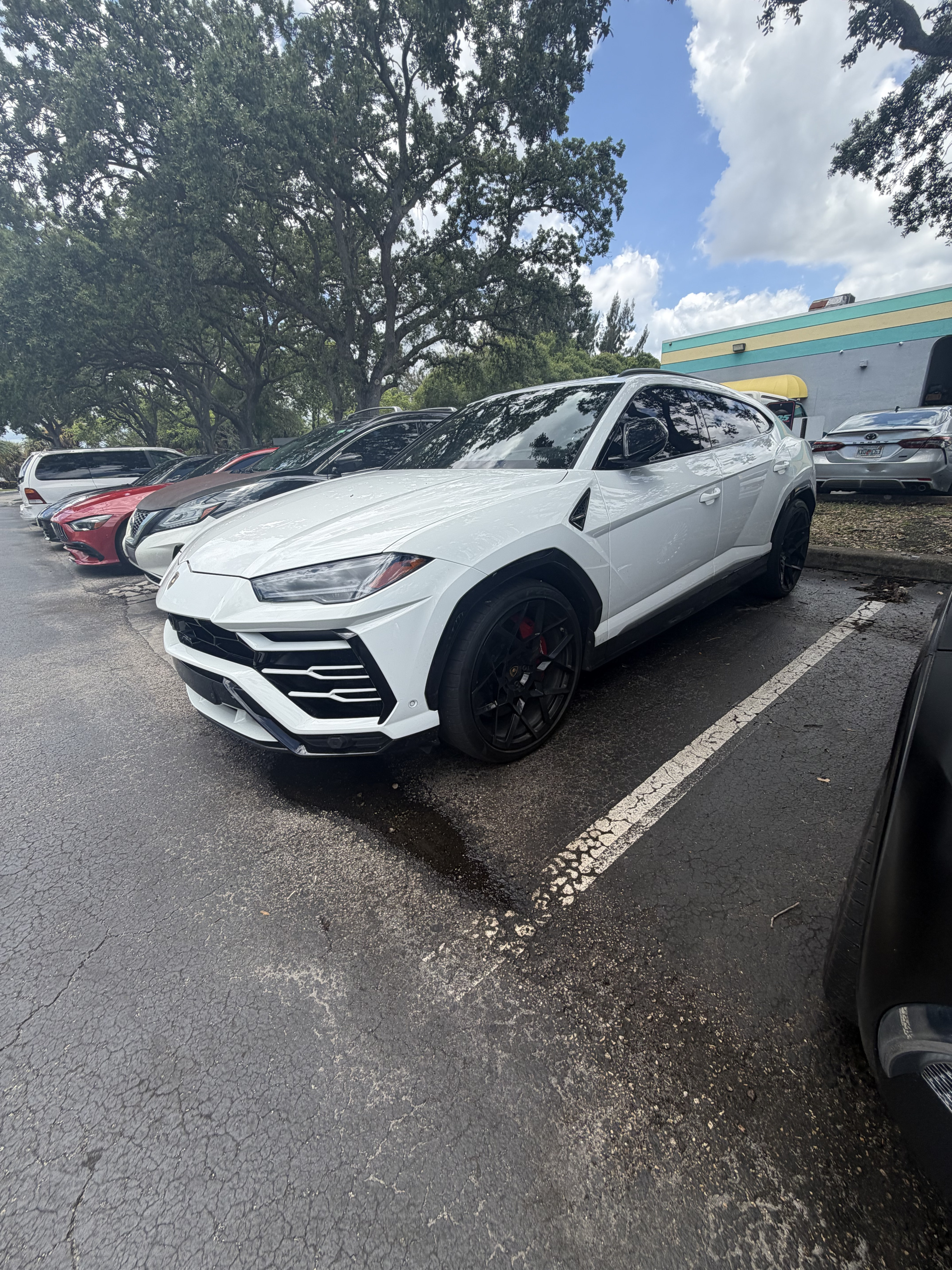 2019 Lamborghini Urus