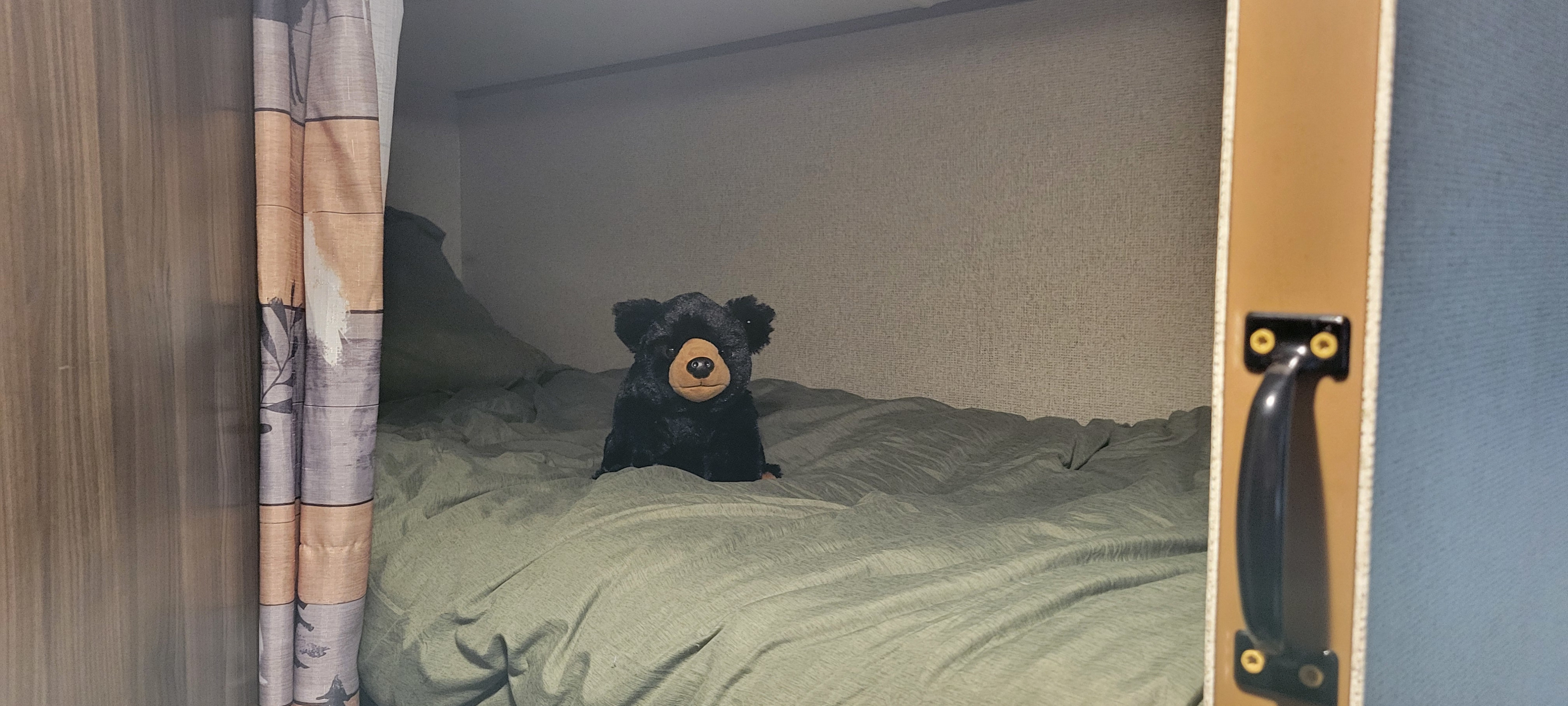 Cute black bear plush on a cozy green bunk bed inside an RV rental. A patterned curtain and door frame the scene.. Coachmen Apex Nano 2017