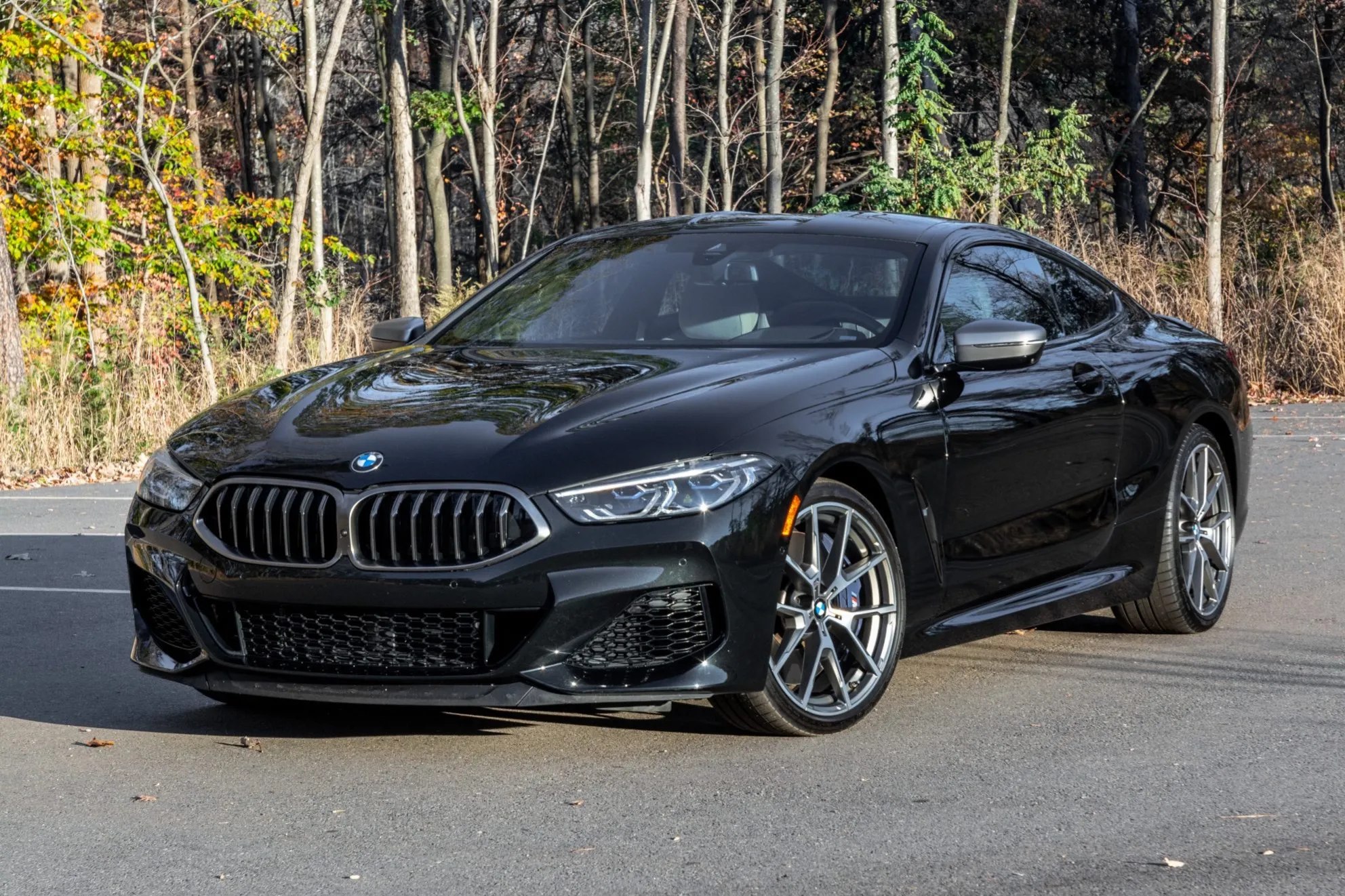 2023 BMW 8 Series