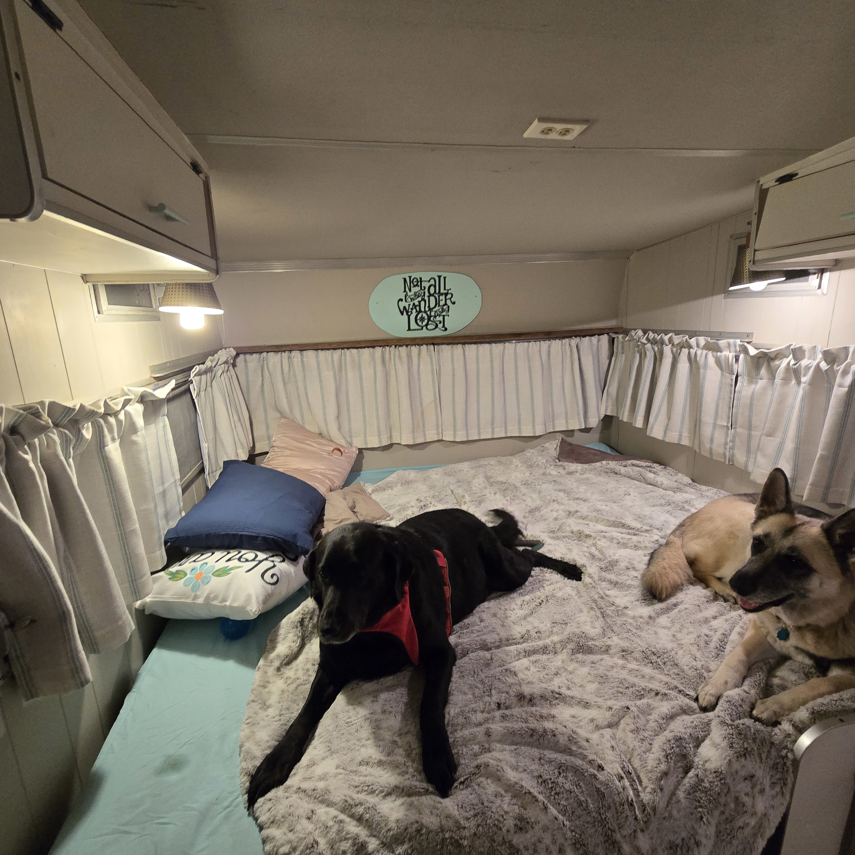 Two happy dogs relaxing on a cozy bed in a pet-friendly RV rental, perfect for your next travel adventure.. Shasta Loflyte 1600 1969