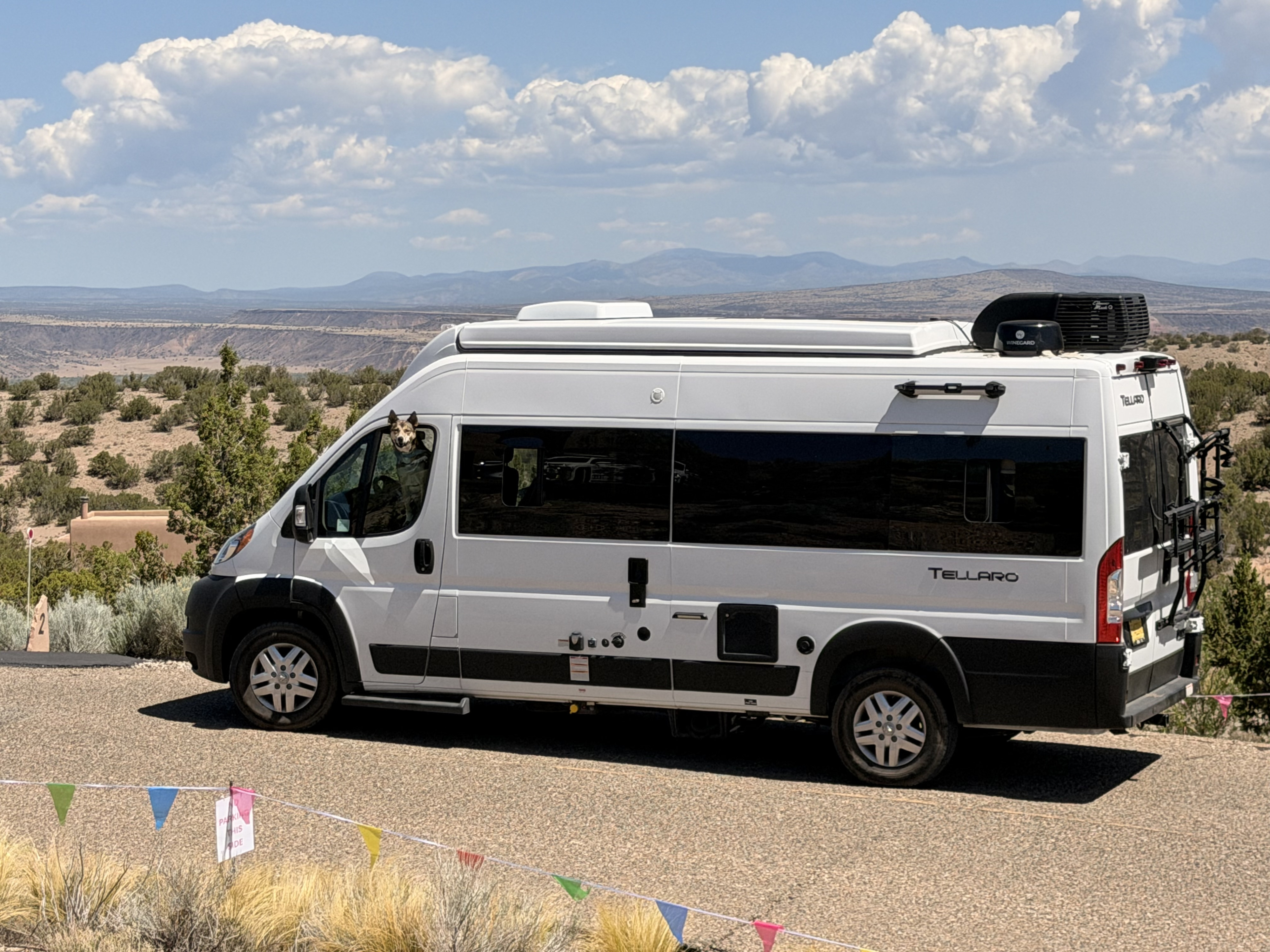 The Desert Belle