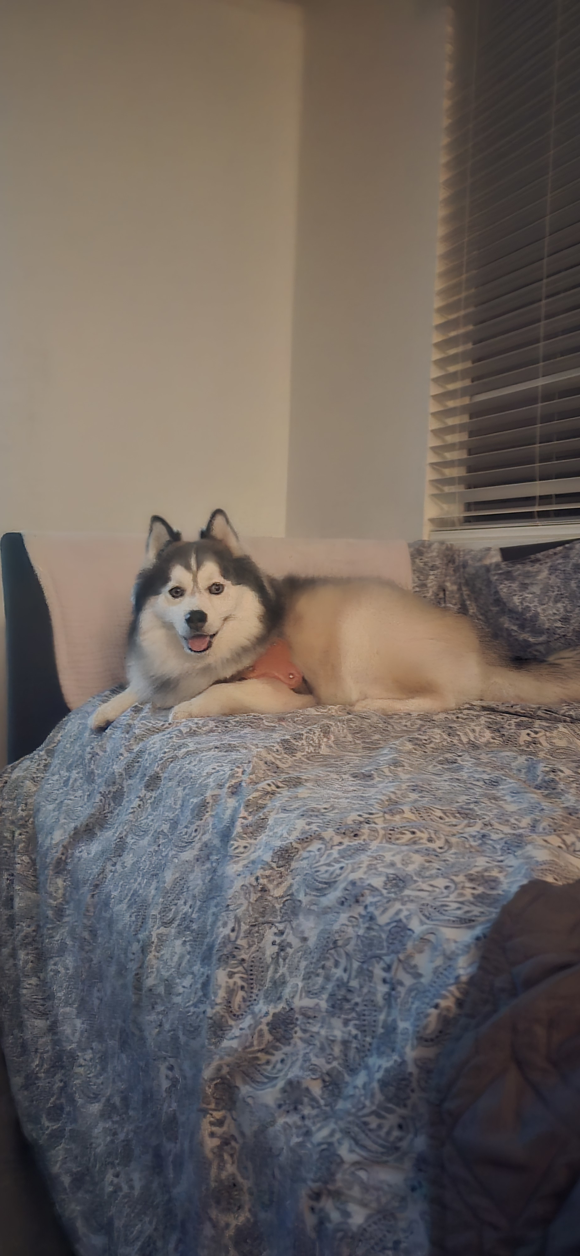 Owner Banner