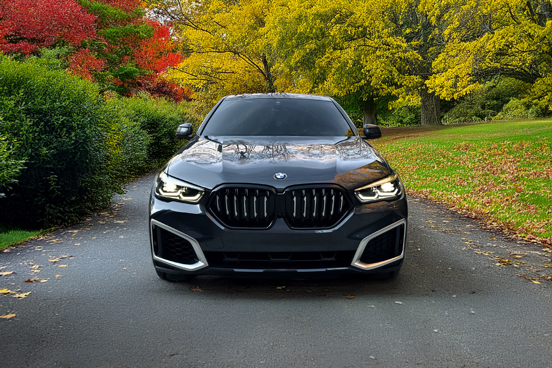 2022 BMW X6