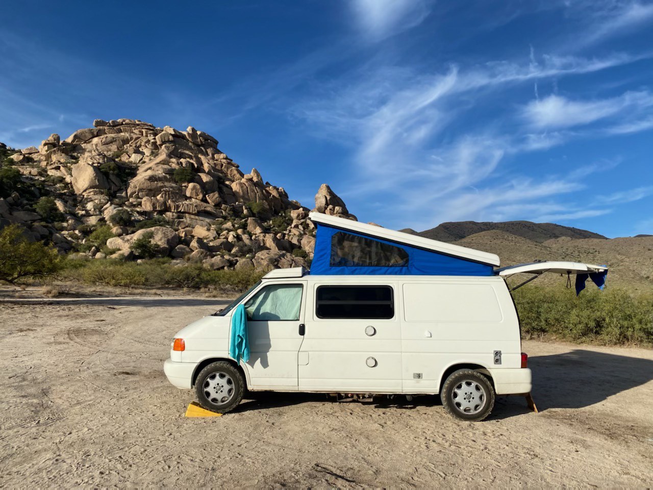Turtle the Wondervan
