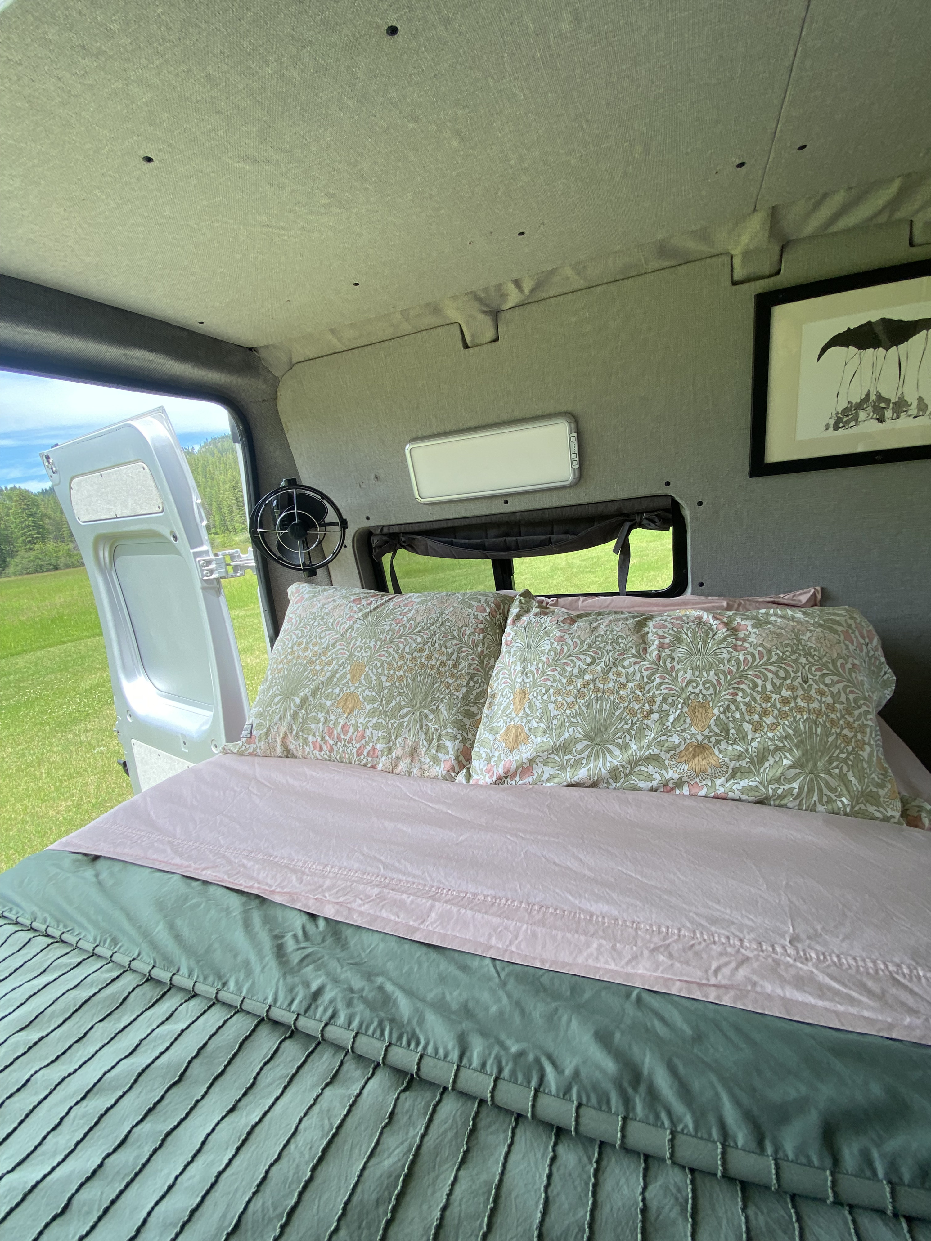 An inviting RV rental bedroom with patterned pillows, pink sheet, green duvet, and an open door revealing a lush green field outside.. Dodge Promaster 3500 2017
