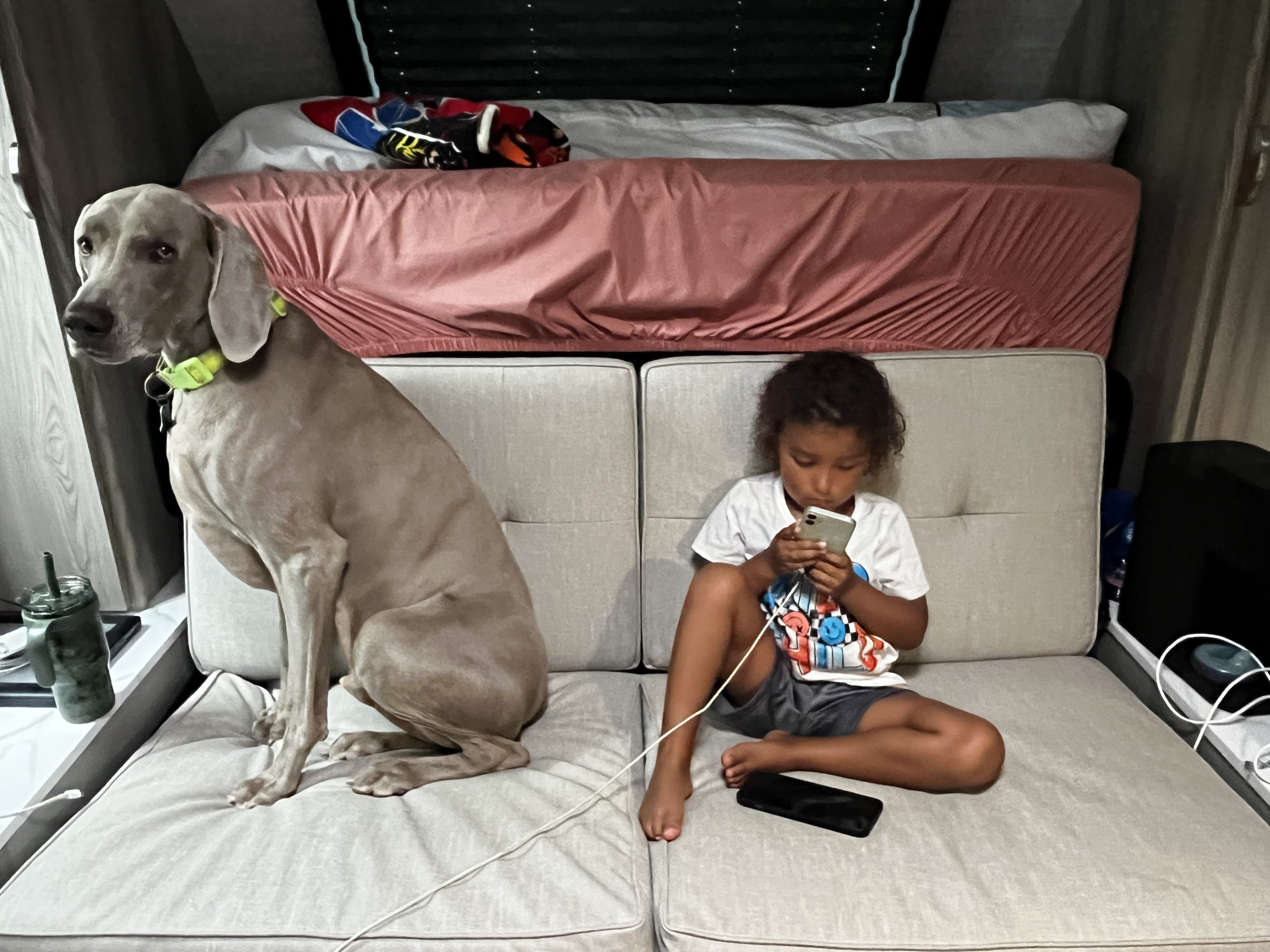 Inside an RV rental, a Weimaraner dog sits next to a child focused on a phone on the couch, with a raised bed above.. Forest River Salem FSX 2025