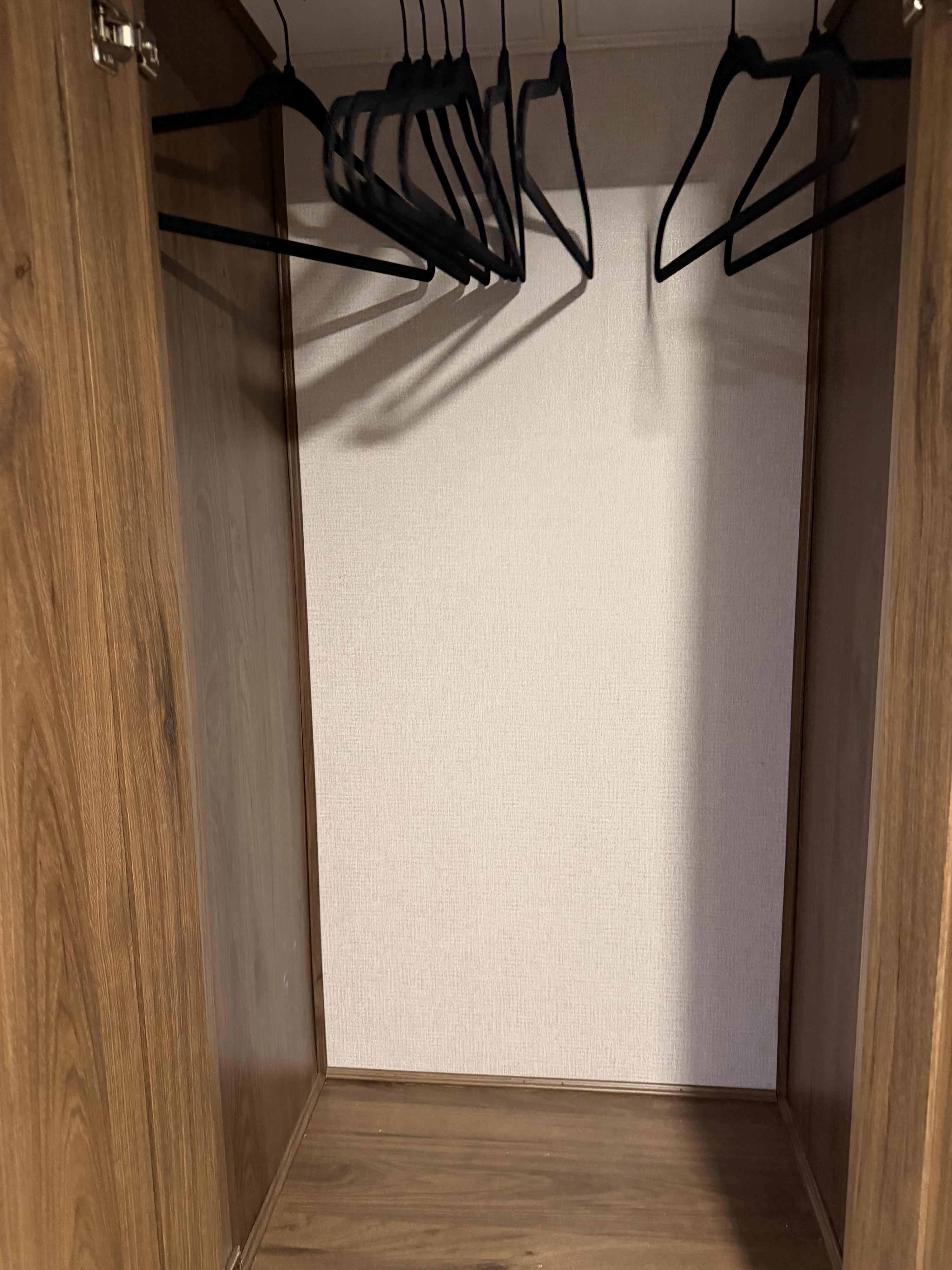 Empty closet with multiple black hangers in your RV rental. Features light walls and wood finish for convenient guest storage.. Forest River Sunseeker LE 2021