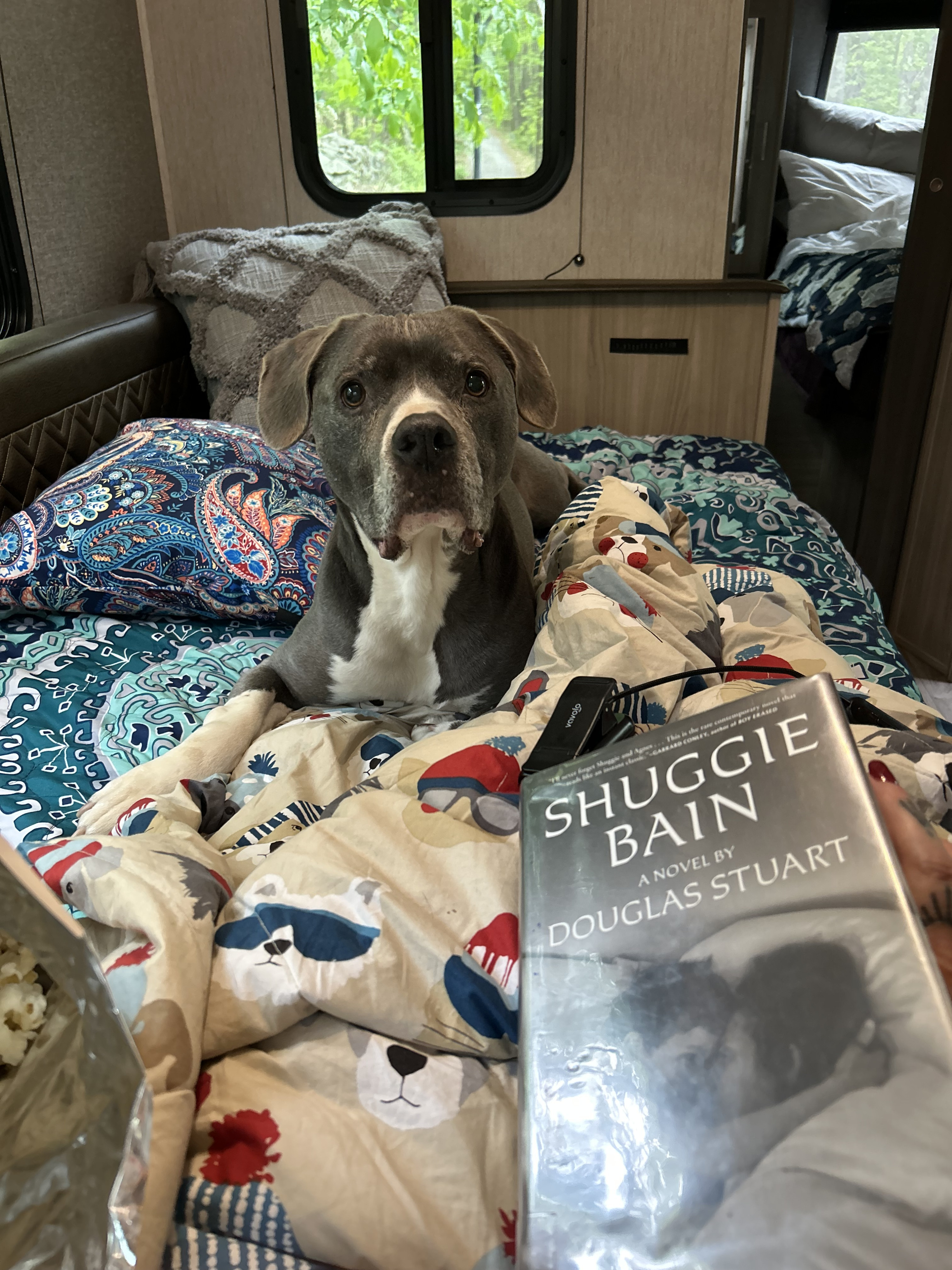 Relaxing in our cozy RV rental with my dog and a good book, "Shuggie Bain." Popcorn and comfort complete the scene.. Forest River Coachmen Freedom Express Ultra Lite 2020