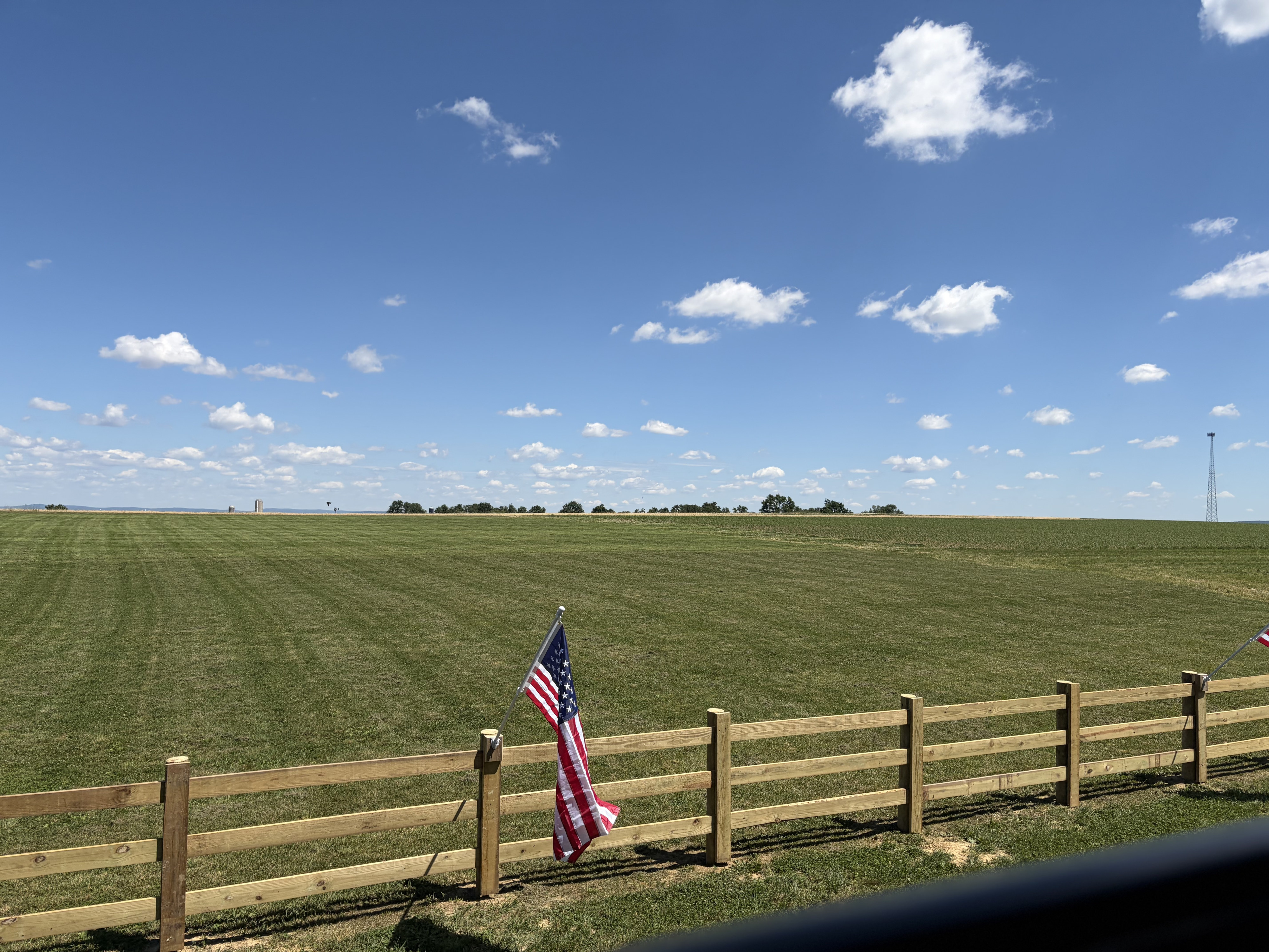 Owner Banner