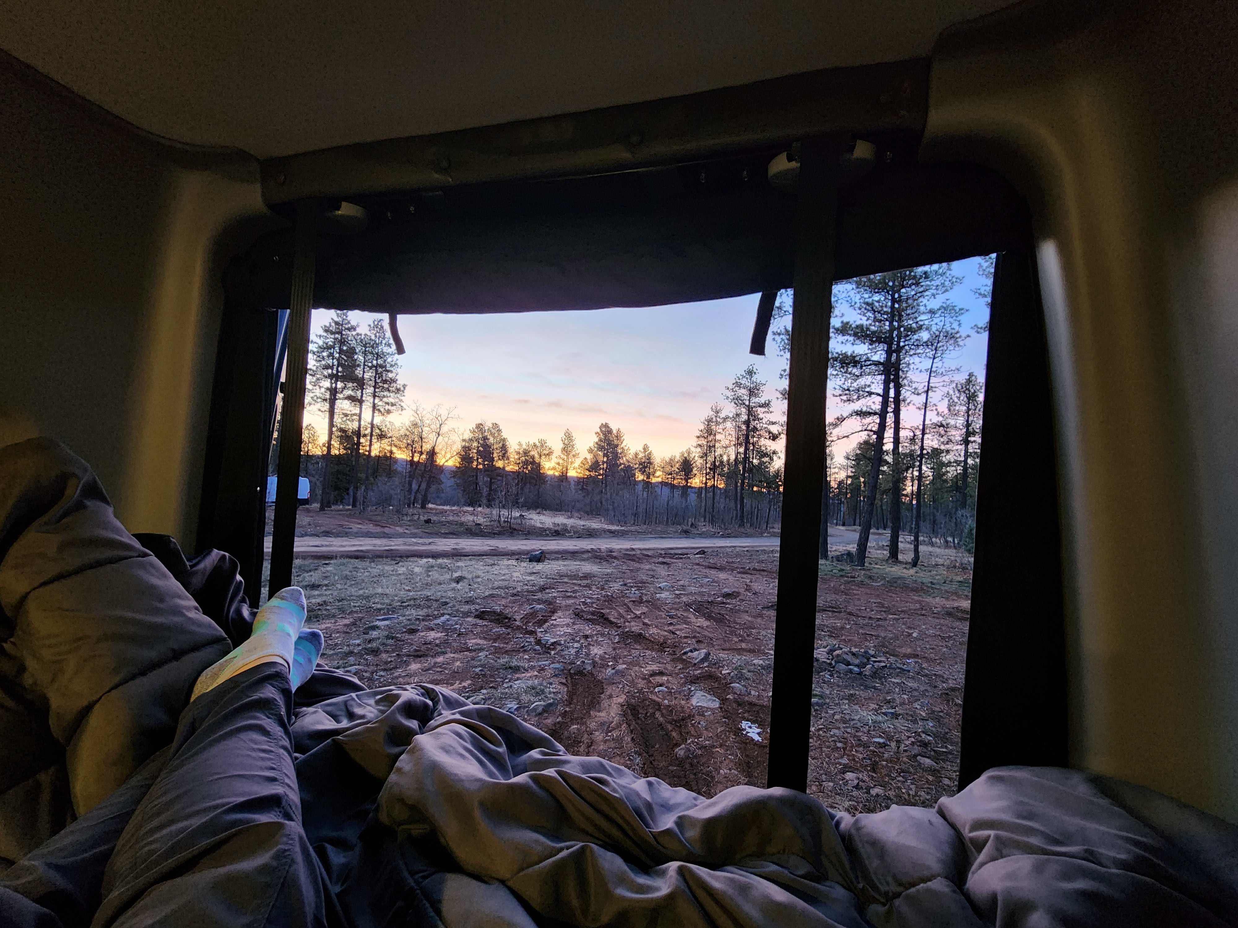 Peaceful rv rental morning. View from a cozy bed reveals a beautiful forest sunrise over a dirt path, perfect for camping.. Winnebago Revel 2021
