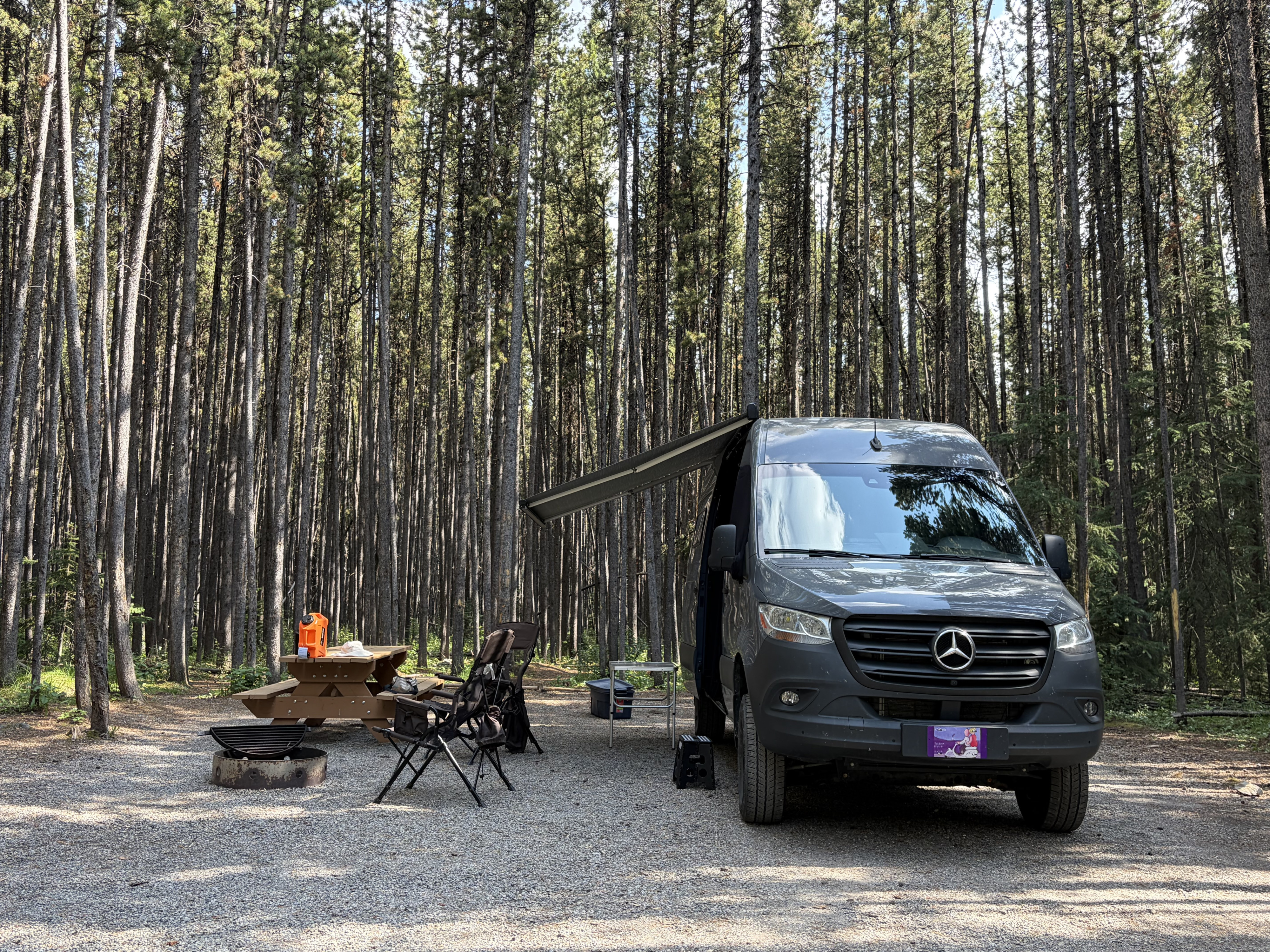 The Alpine Olive - Sleek 2023 Mercedes Sprinter AWD