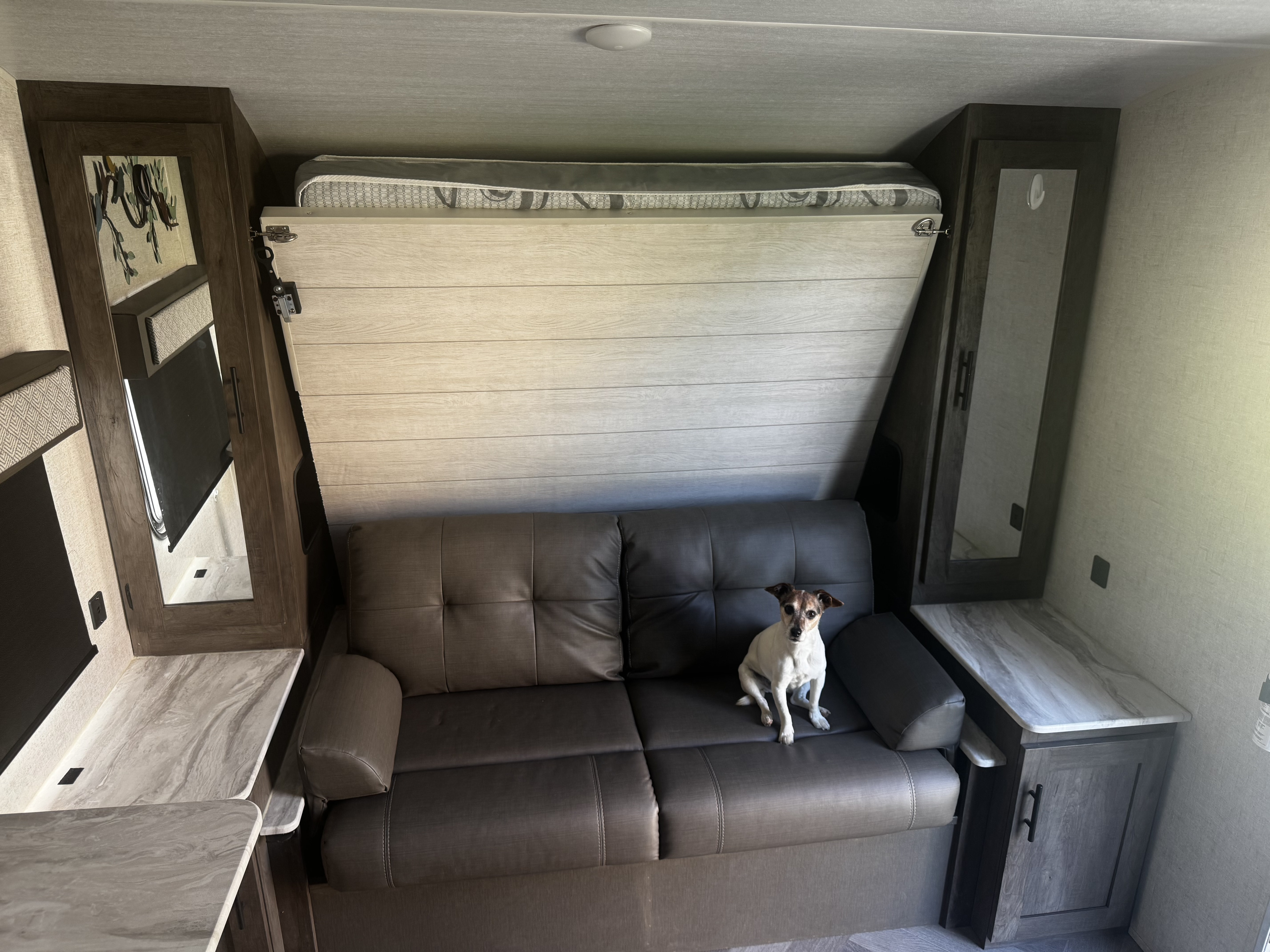 Small, alert dog on a brown sofa in a modern rv rental. Above, a Murphy bed is folded, flanked by cabinets & mirrors.. Forest River Wildwood X-Lite 2021