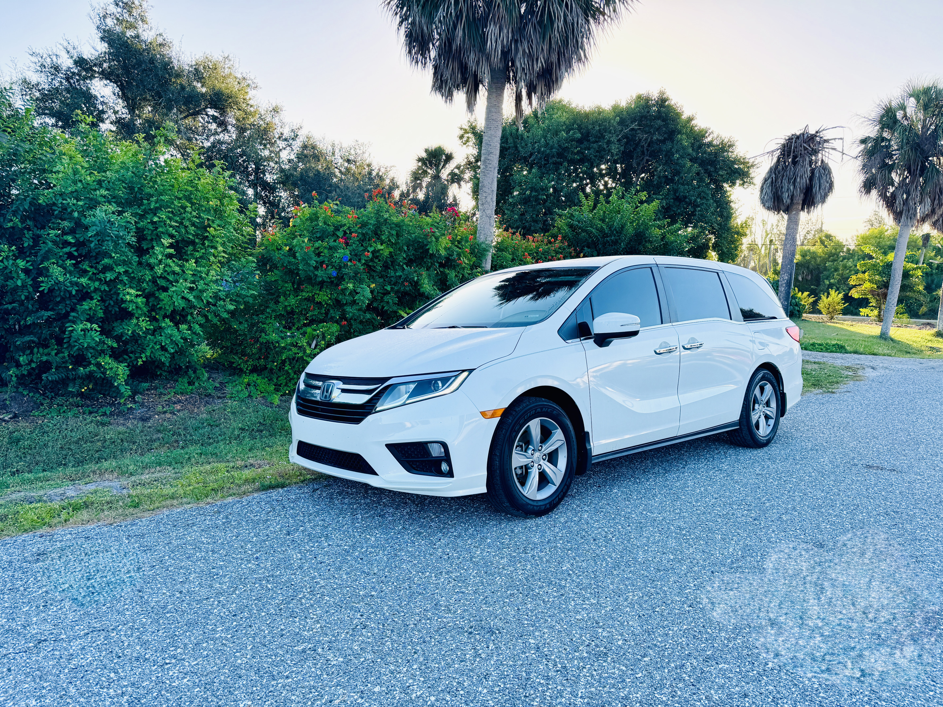 2019 Honda Odyssey