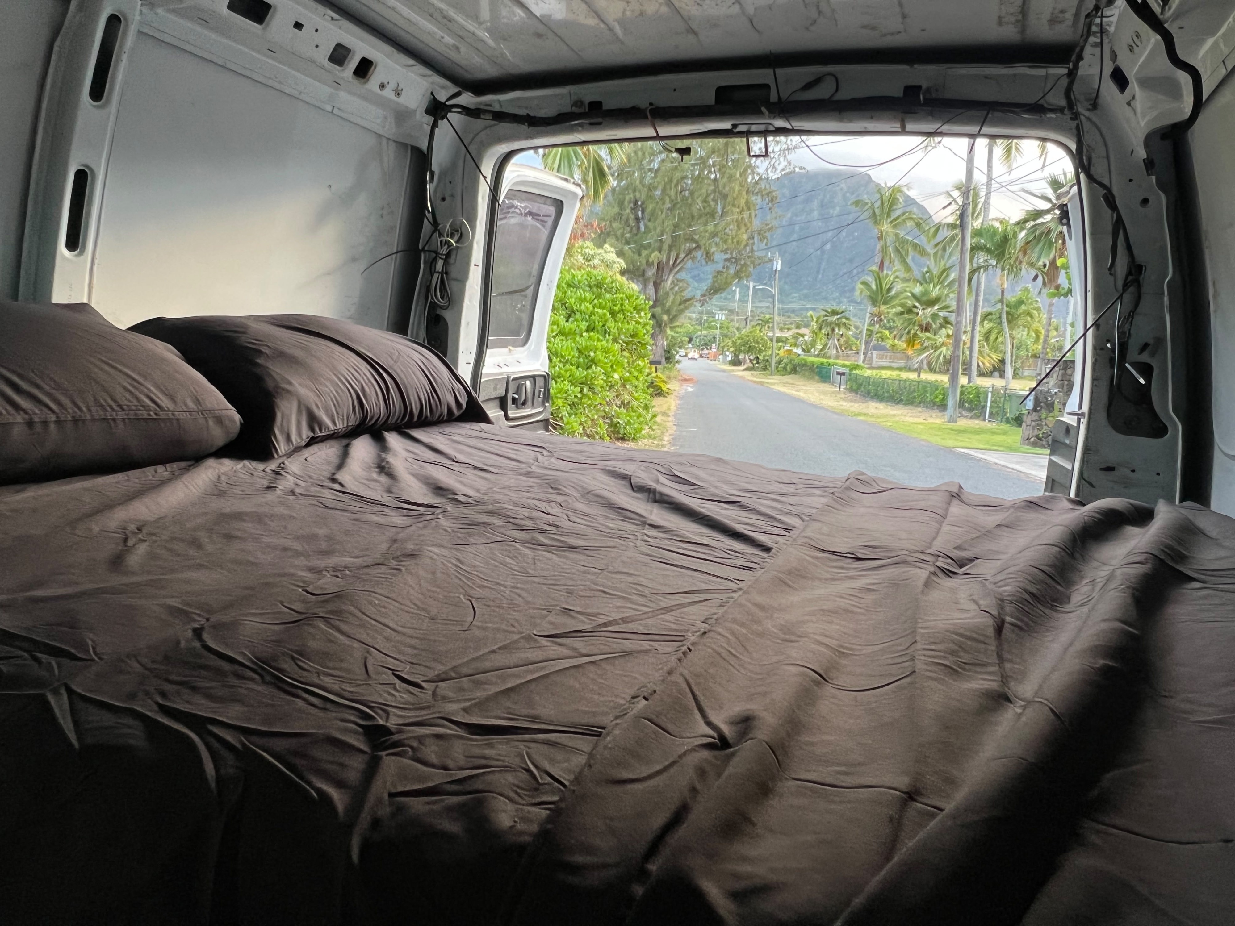 Cozy rv rental bed inside a van, looking out to a scenic road lined with palm trees and mountains in the background.. Chevrolet Express 2006