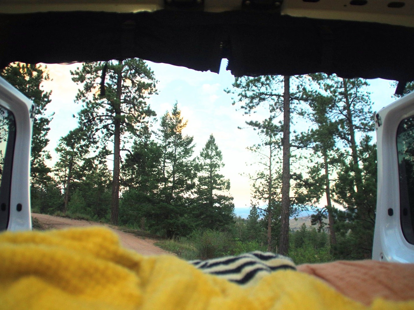 Cozy RV rental view from inside: tall pine trees, a dirt road, and clear sky, with blankets in foreground.. Ram Promaster 1500 2017
