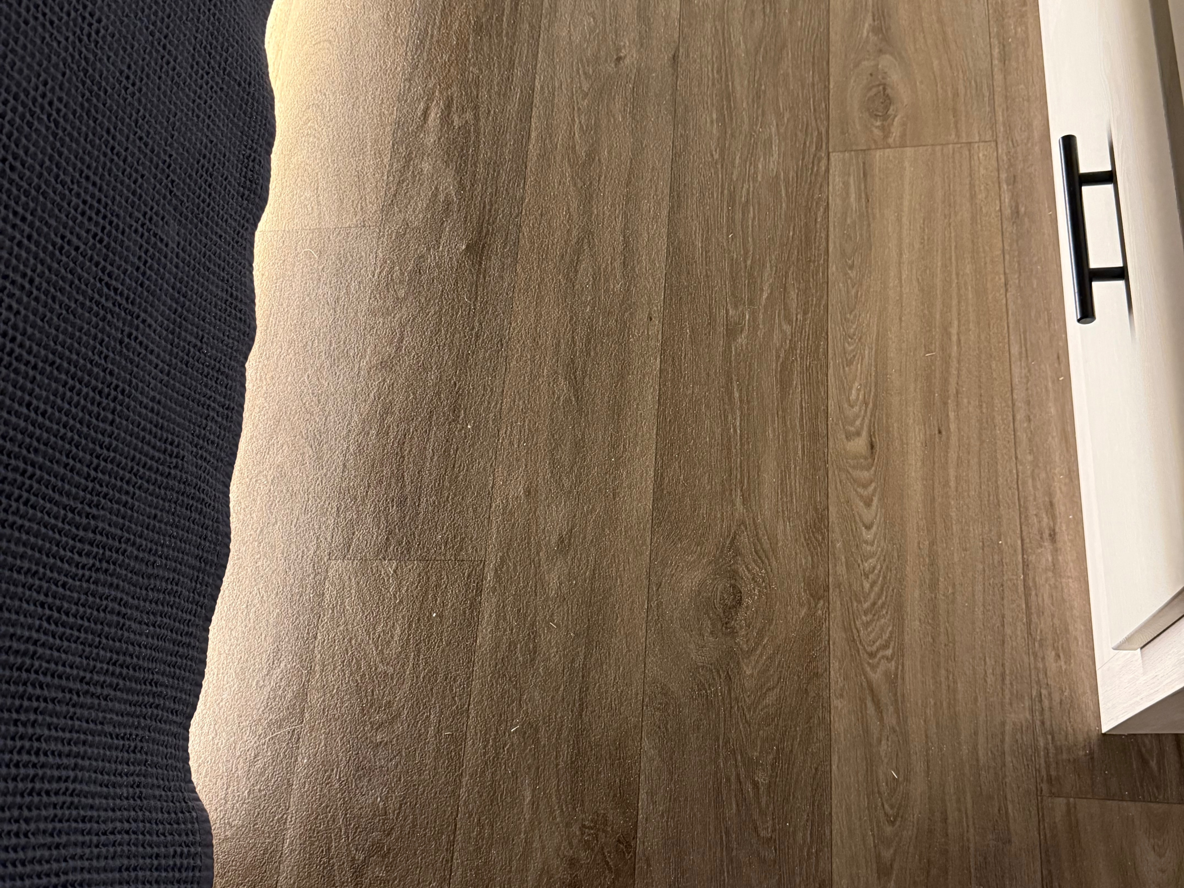 Cozy RV rental interior featuring wood-look flooring, a modern cabinet, and soft, illuminated textures for comfortable travel.. Forest River Sabre - 36DBB 2027