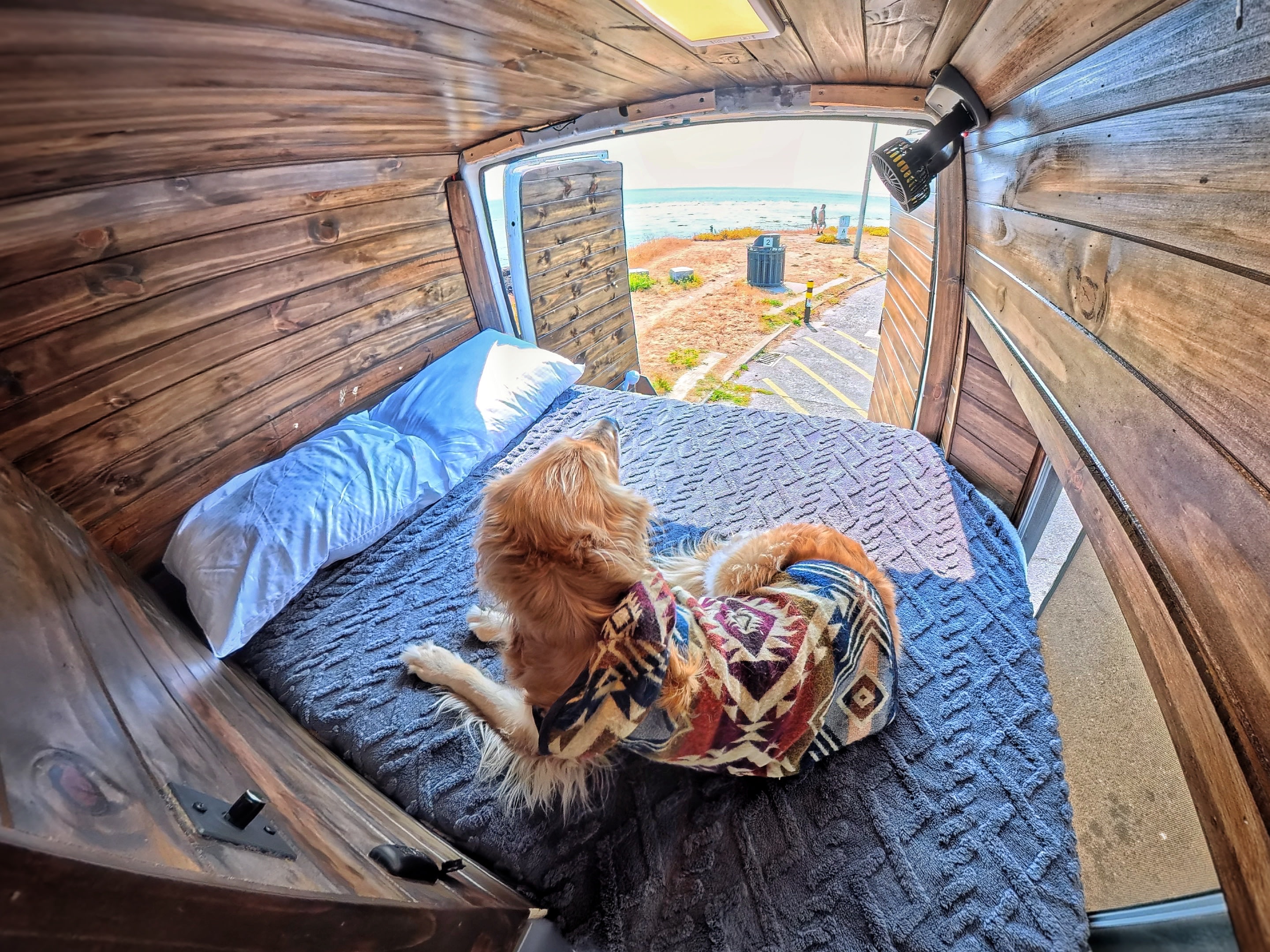 Inside a cozy **RV rental**, a golden retriever watches the **beach view** from its wood-paneled **van bed**.. Dodge Sprinter 2006