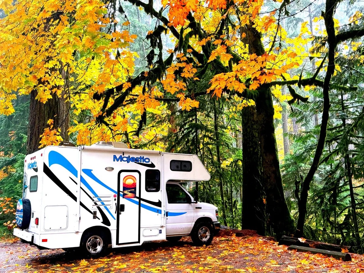 The Cultus Express