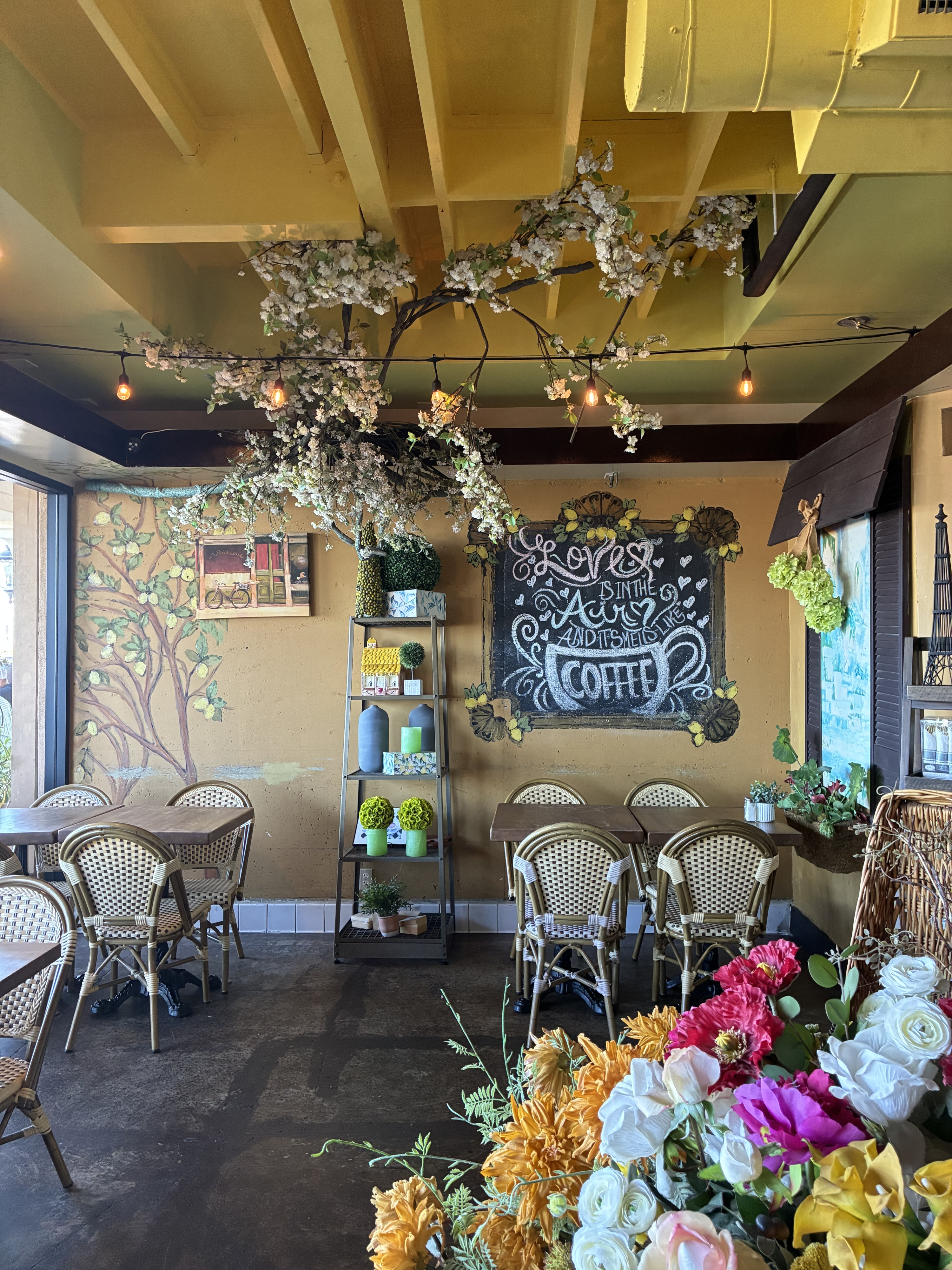 Owner Banner