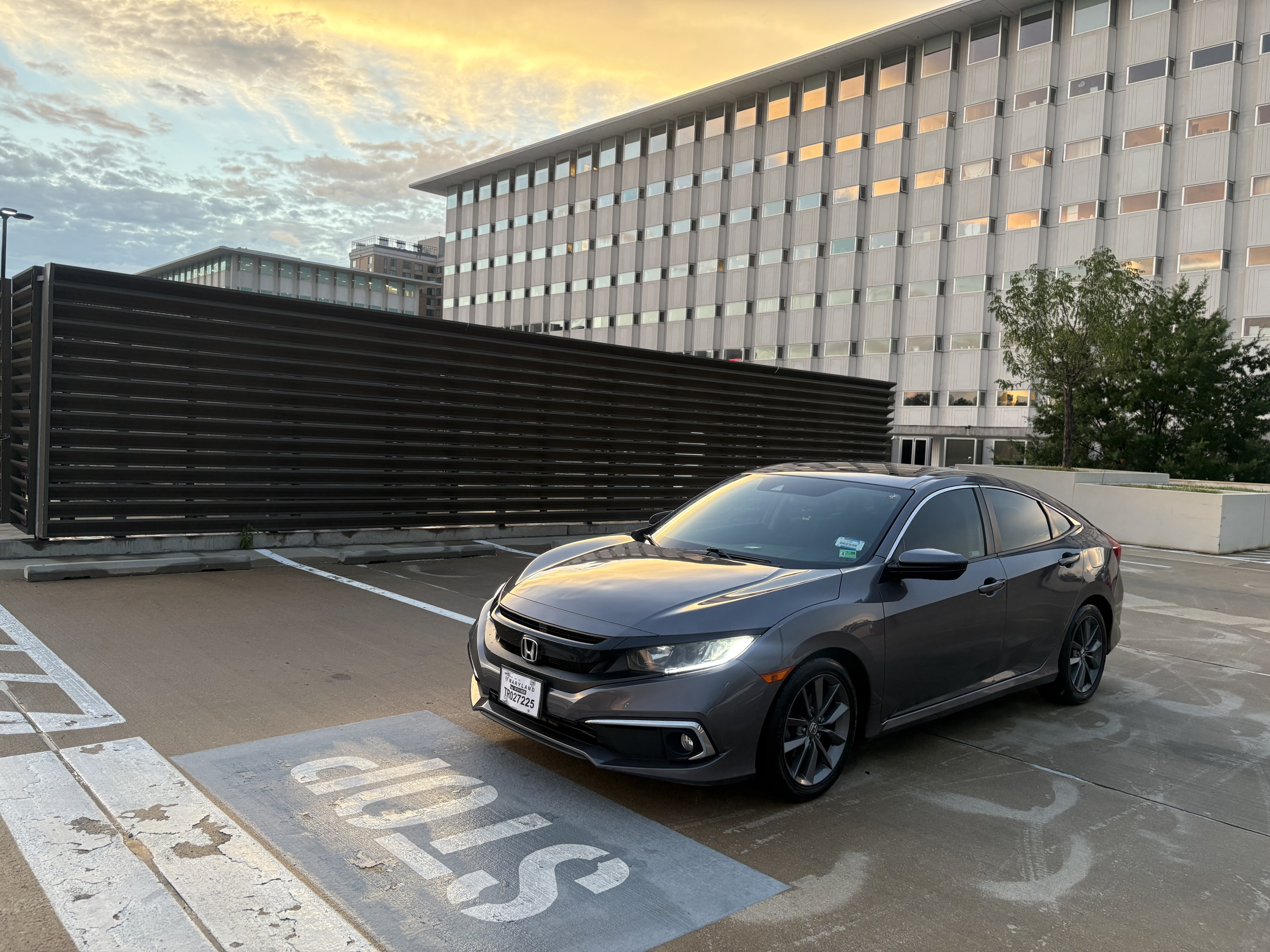 2019 Honda Civic