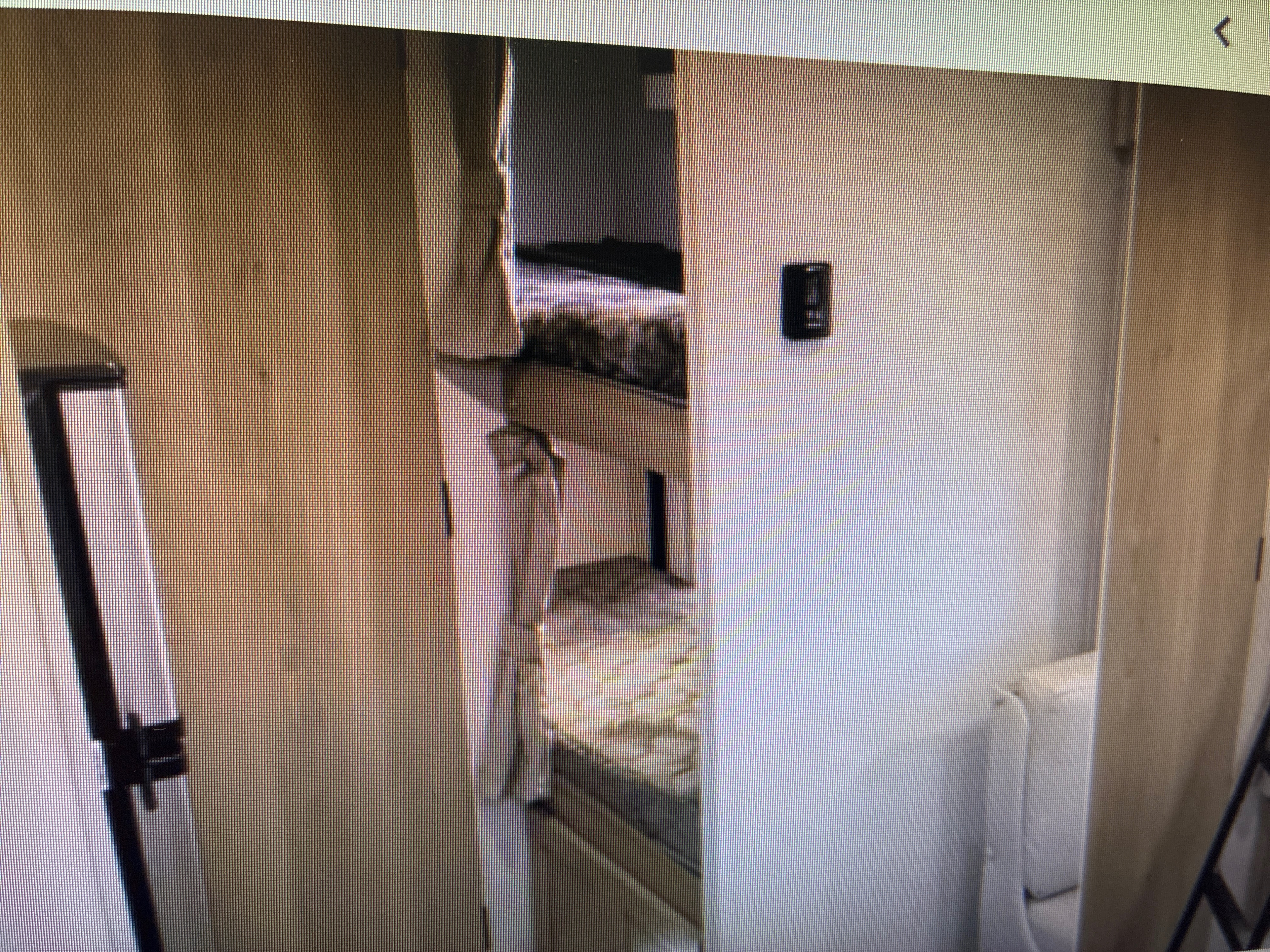 Interior of an RV rental showing stacked bunk beds and a wall control panel, ideal for compact family travel.. Forest River Rockwood Geo Pro 2022