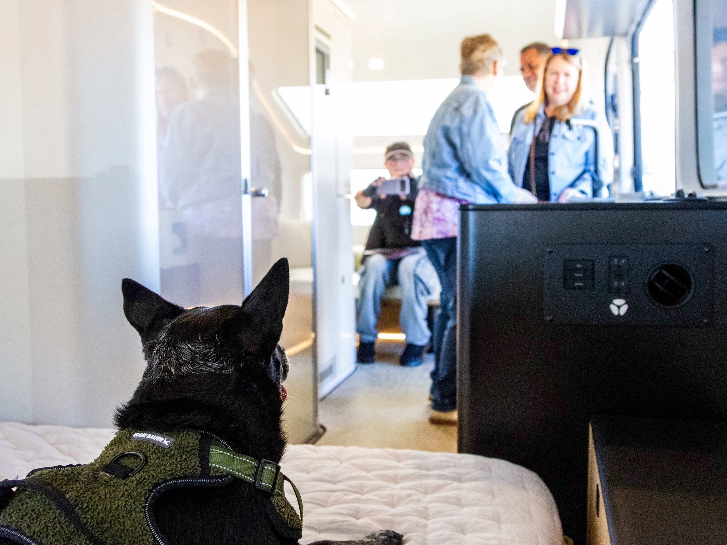 Pet-friendly RV rental: A black dog in an Eddie Bauer harness rests on the bed, watching people in the bright interior.. Pebble Founders Edition 2026