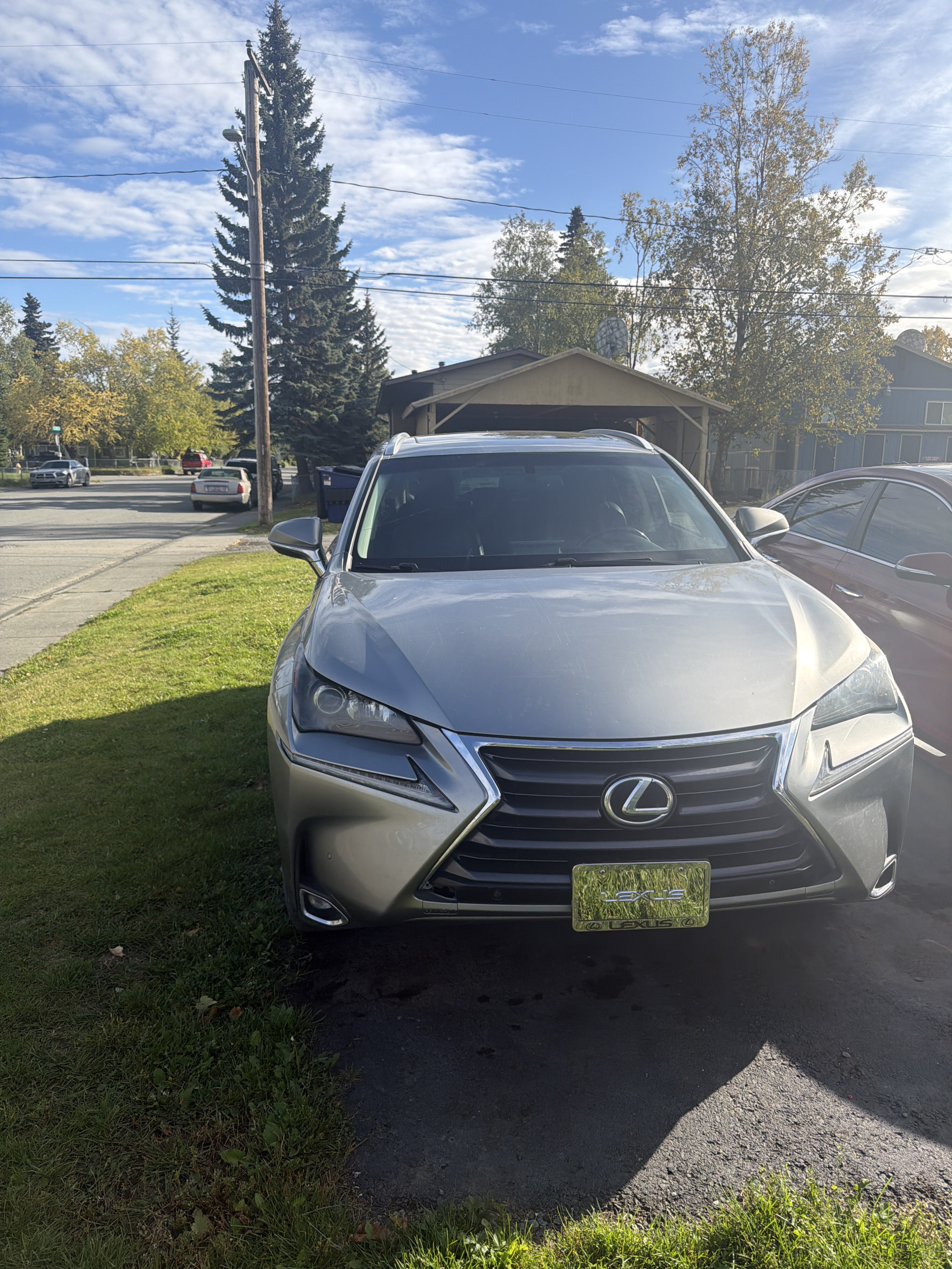 2017 Lexus NX