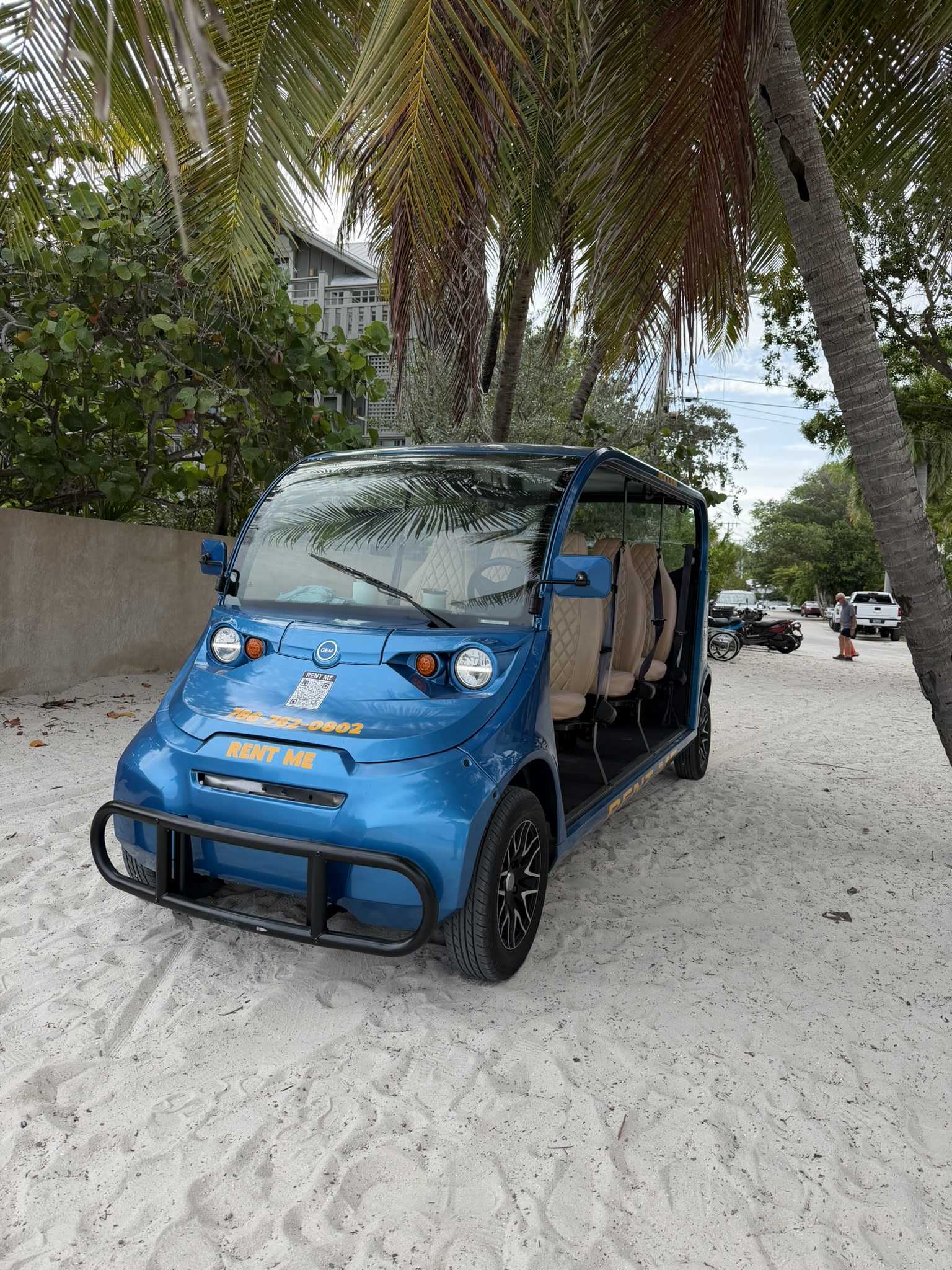 2018 Polaris GEM E6