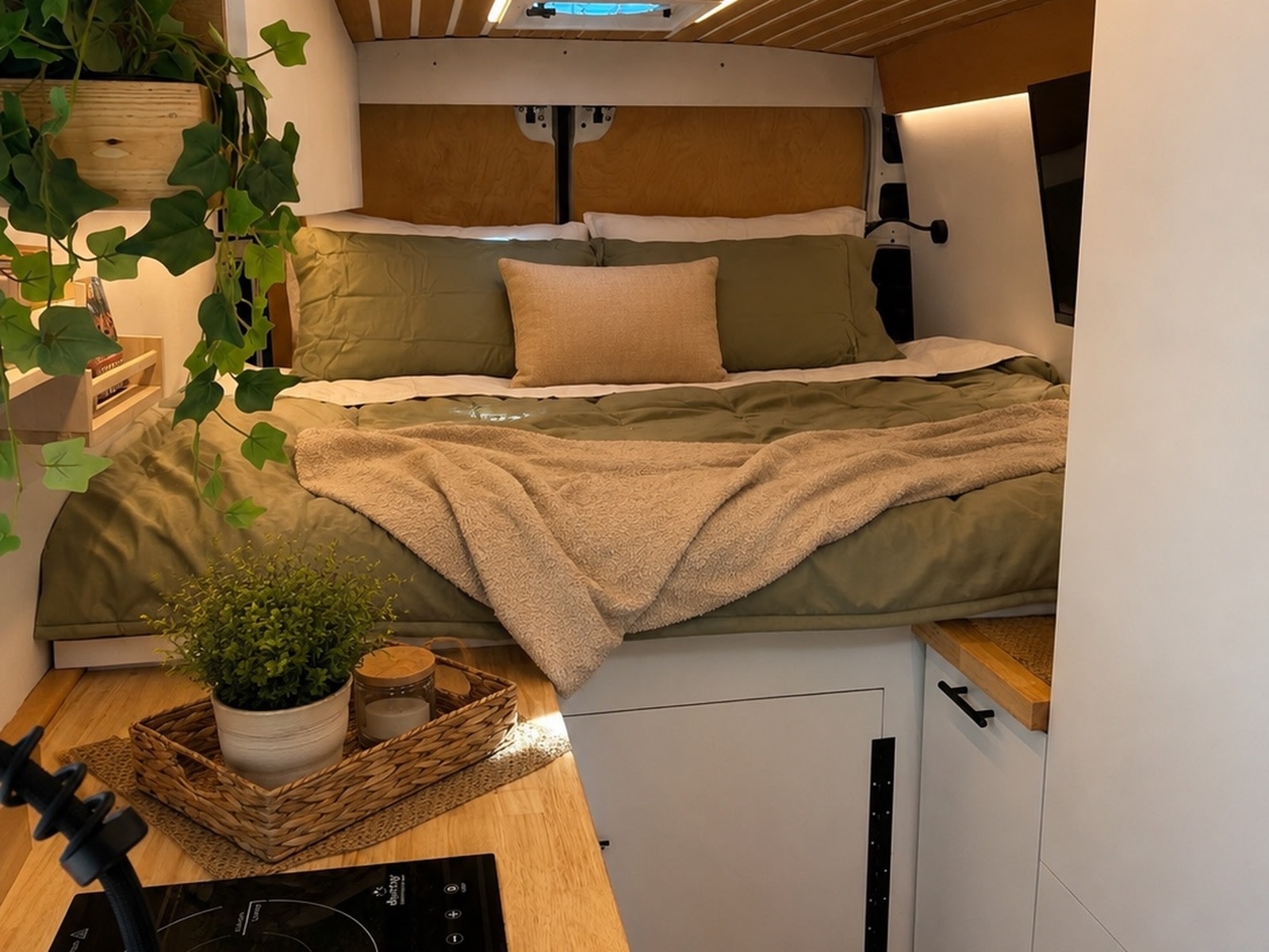 Cozy rv rental interior featuring an olive green bed with throw, hanging ivy, and a counter with a potted plant and cooktop.. Dodge B Van 2023