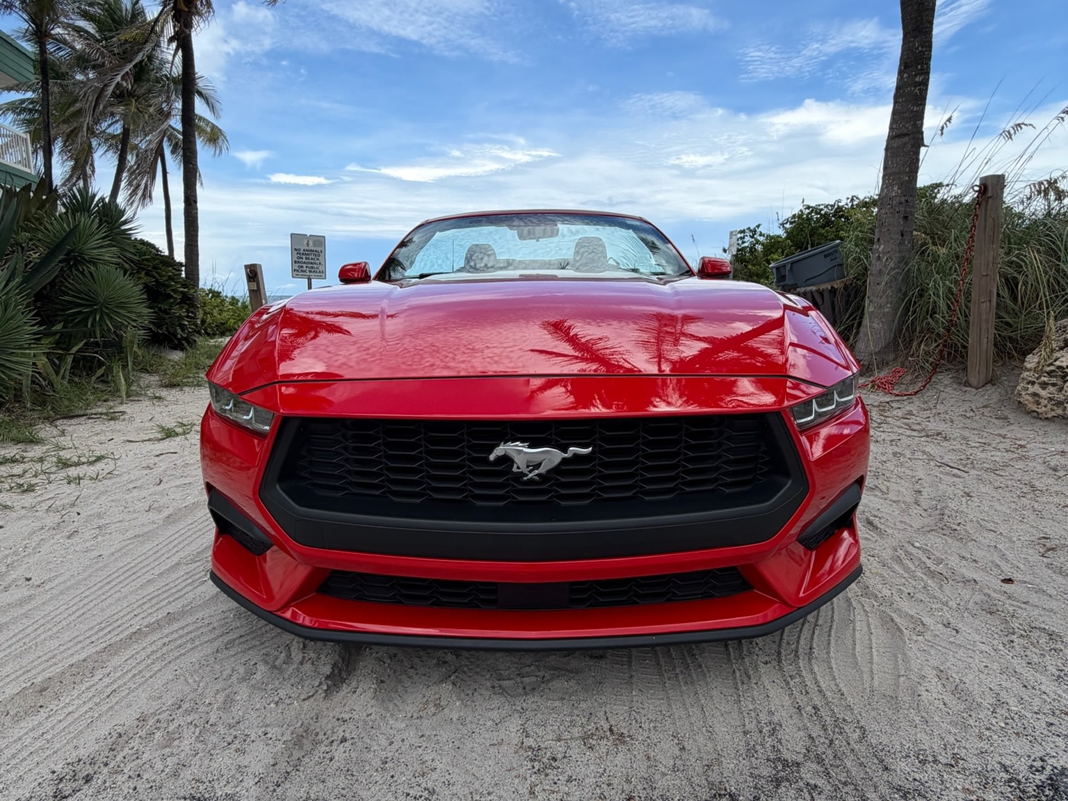 2024 Ford Mustang